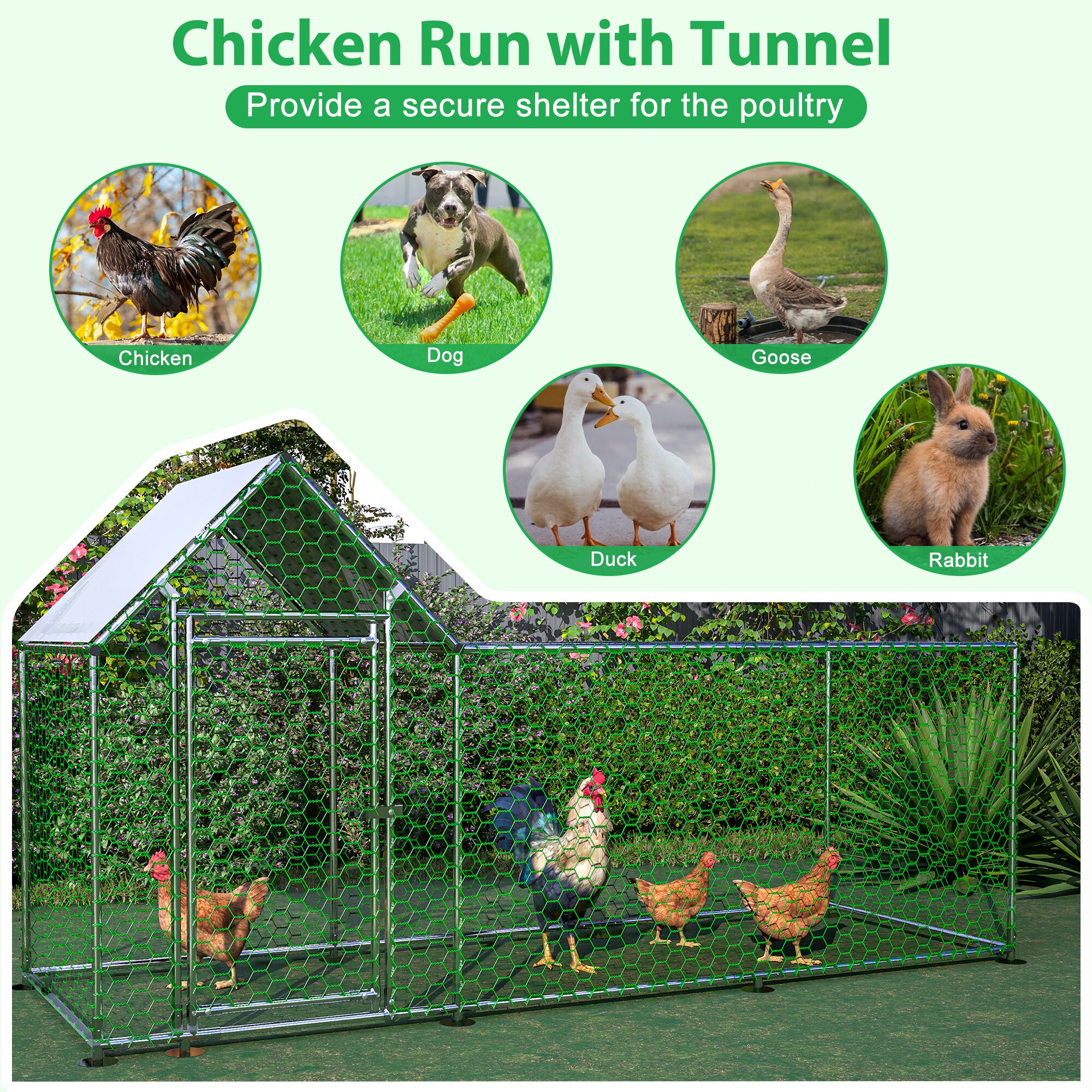Gaierptone CRXFF7YW7TI Chicken-Coops-Rabbit-Hutches - View #2