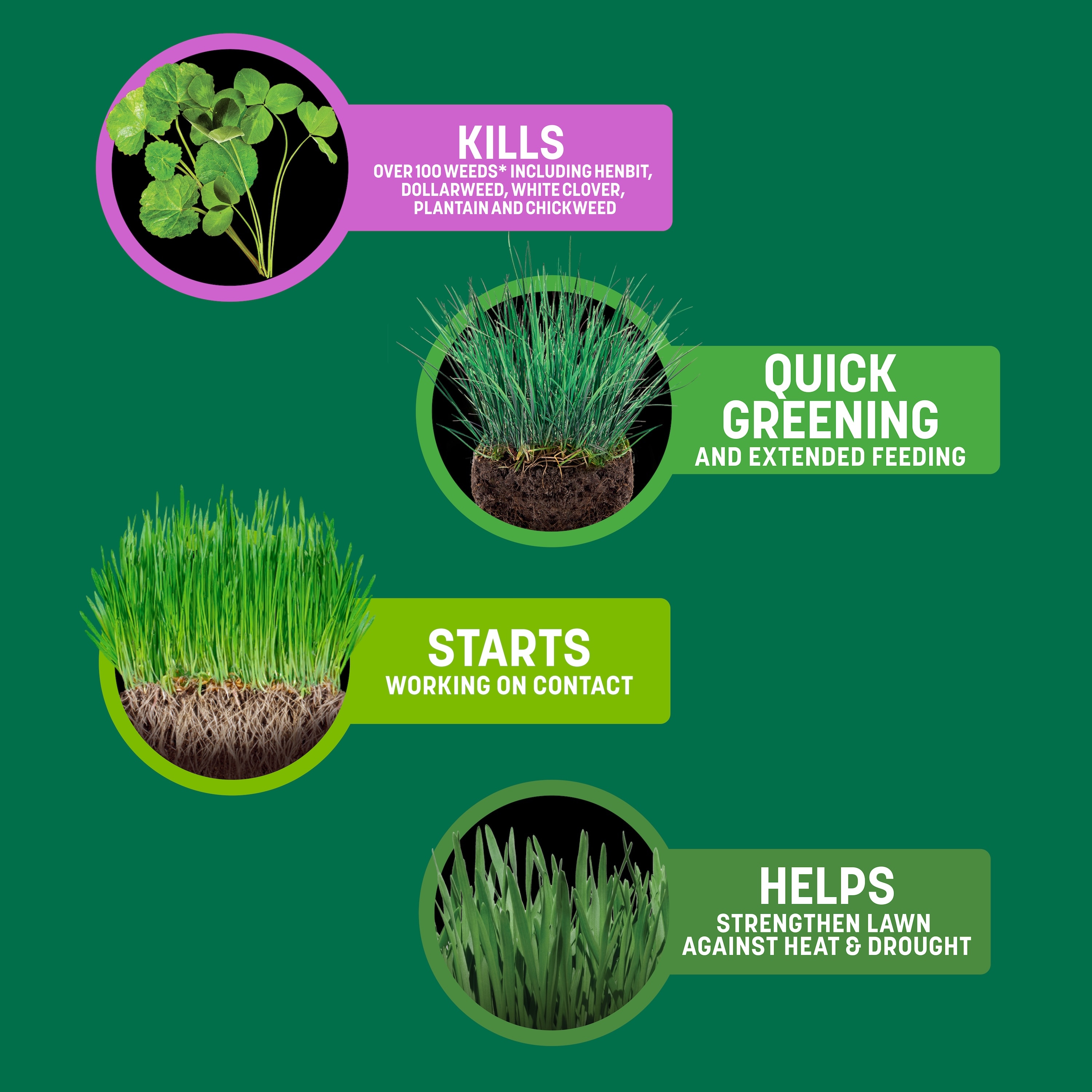 Sta-Green 2149602866 Lawn-Fertilizer - View #2