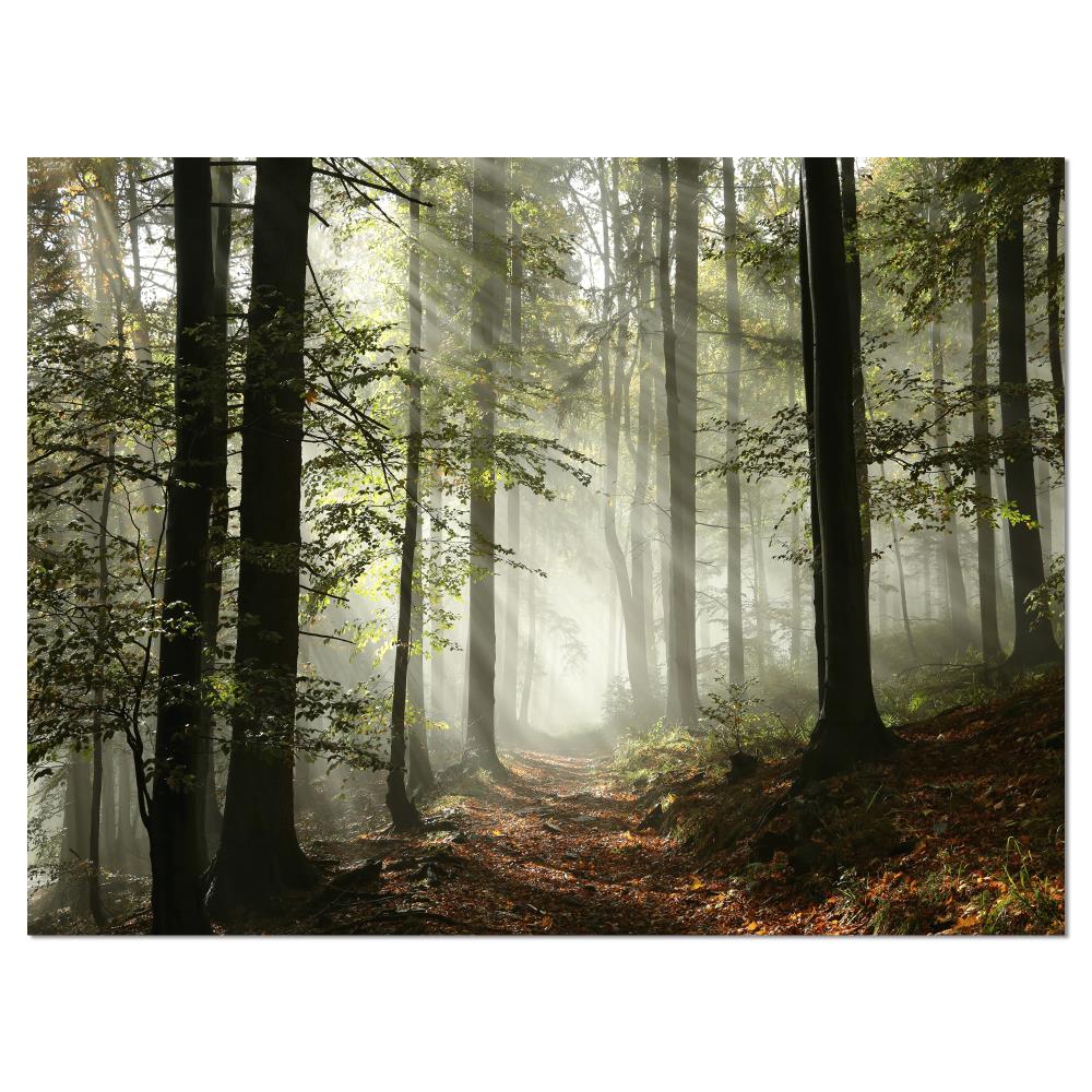 Designart 30-in H x 40-in W Landscape Print on Canvas in the Wall Art ...