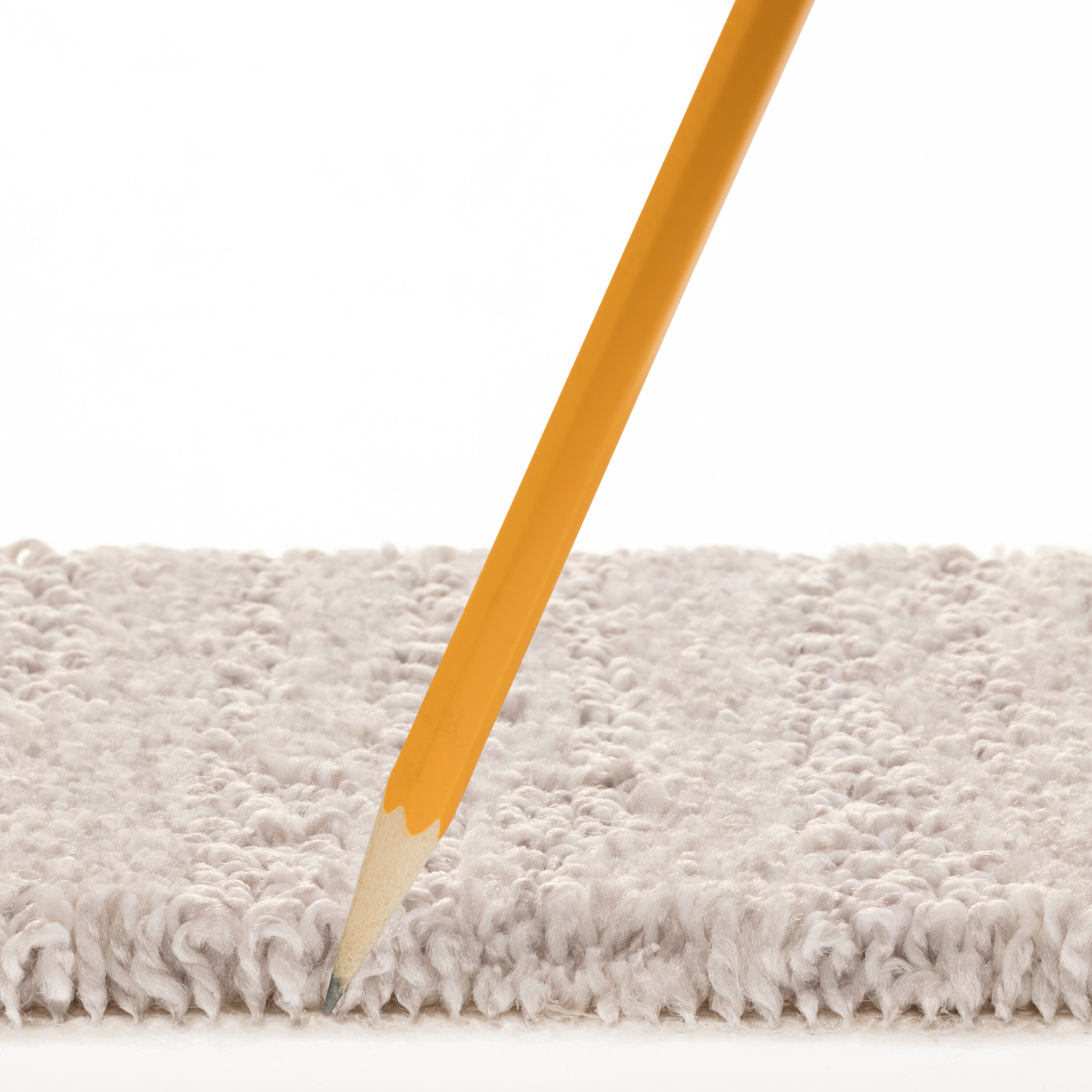 STAINMASTER 7L889 - 105 - SAMP Carpet-Samples - View #7