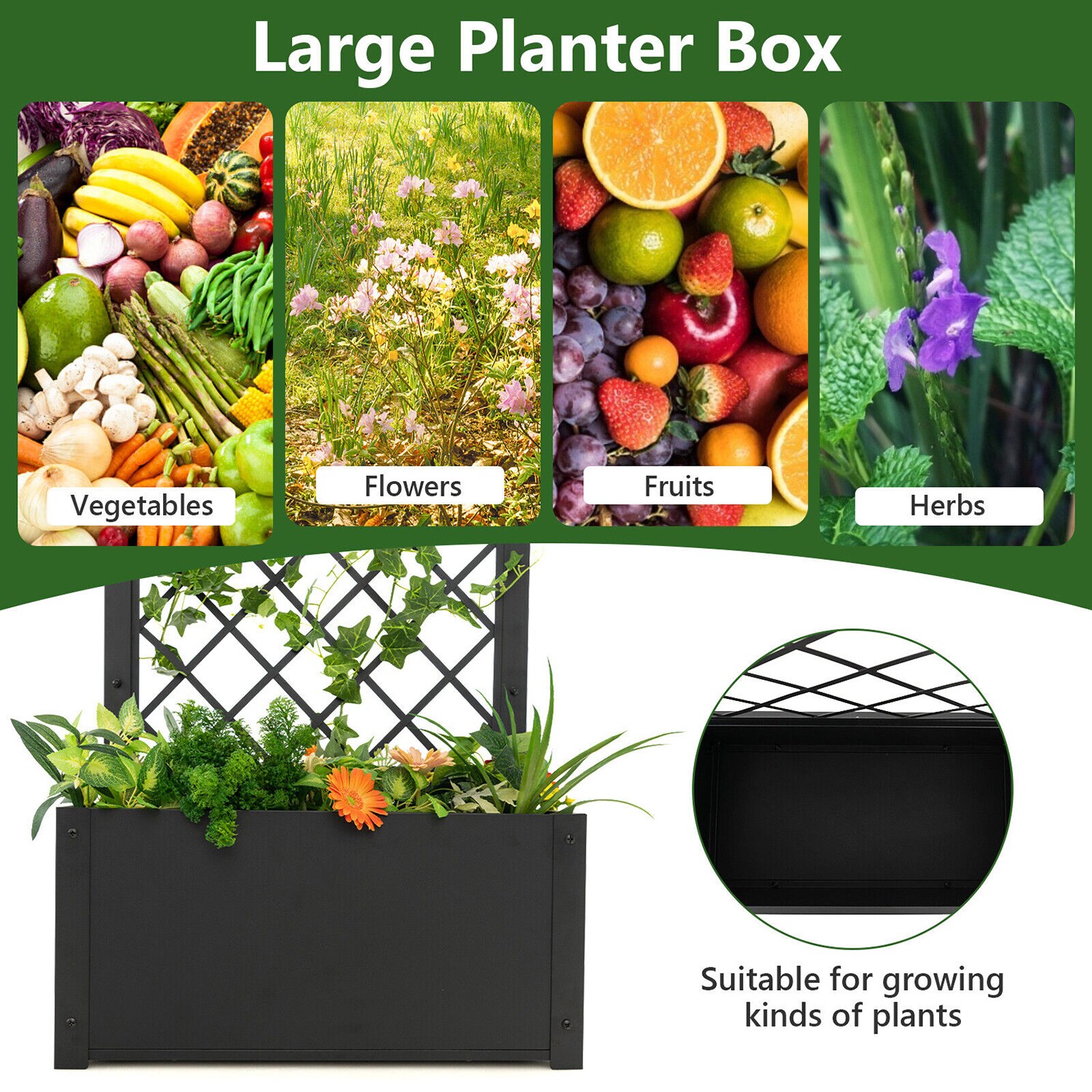 Forclover CTWE-NP10244BN Raised-Garden-Beds - View #2