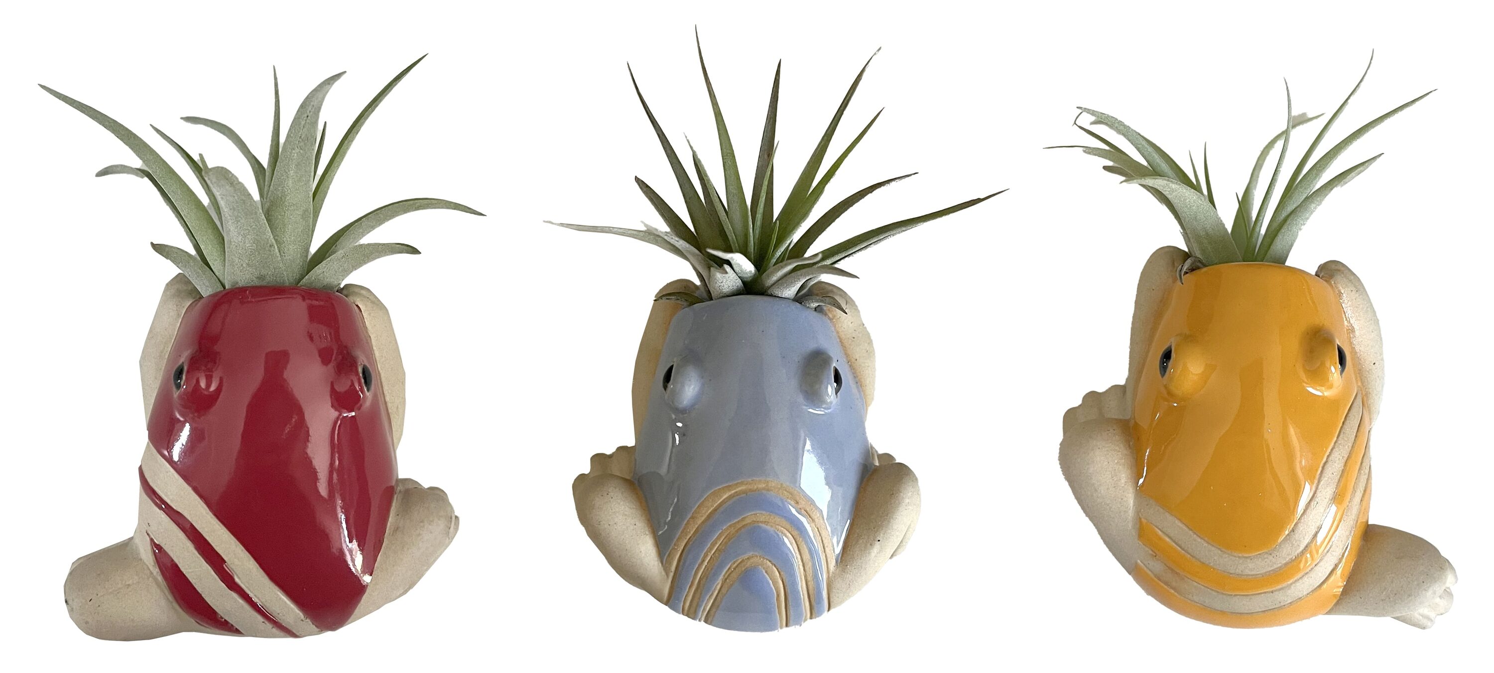 LiveTrends ASB07699 Tree Frog House plant in 1 -Pack Pot 1 -Pack