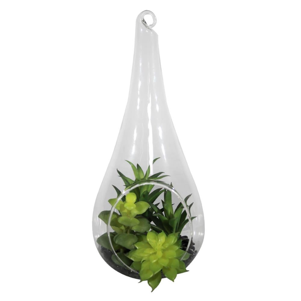 allen + roth 962379 9-Inches Green Indoor Desktop Succulent Artificial plant