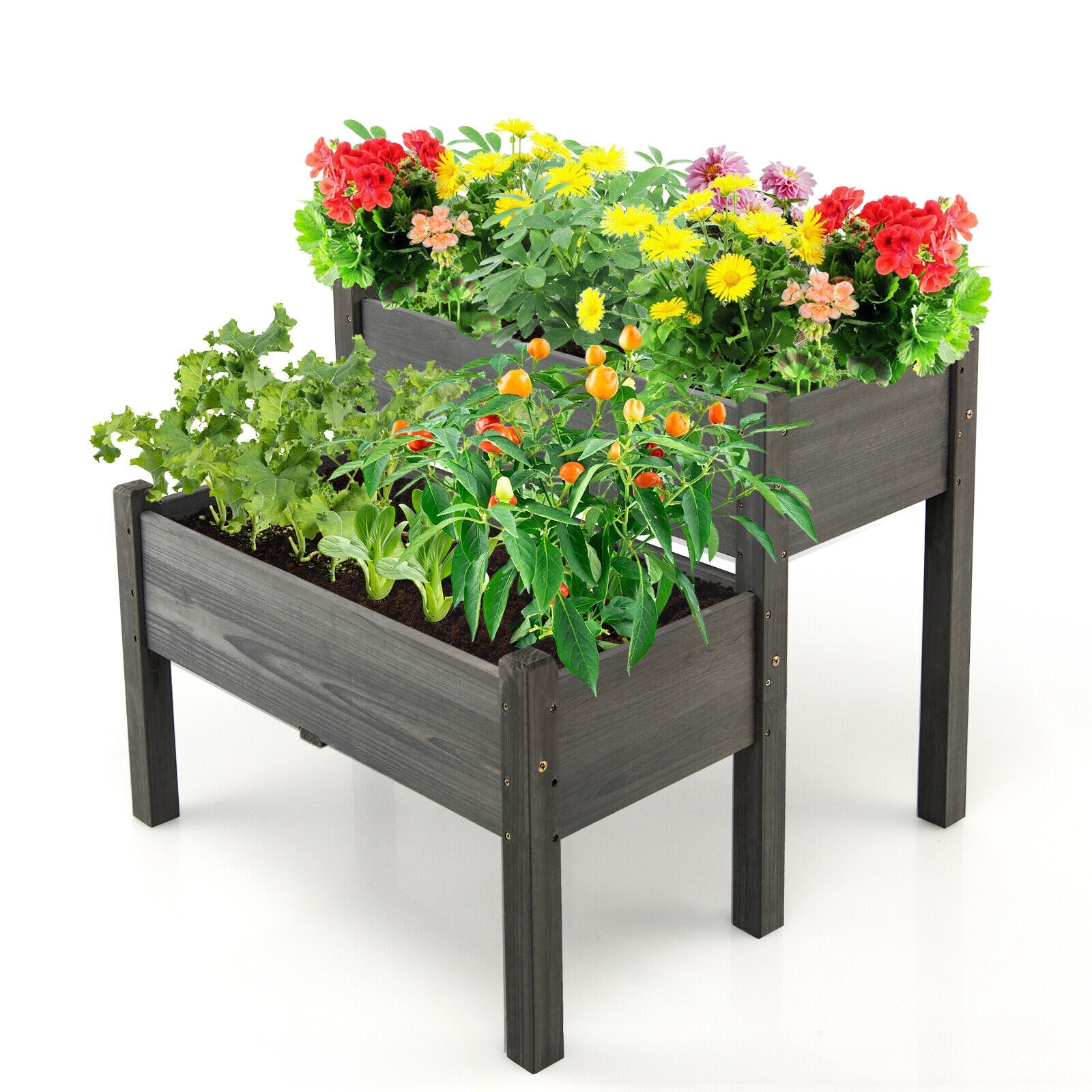 Ayelon 1.64-cu ft 33.5-in W x 34-in L x 28.5-in H Elevated Grey Wood Raised Garden Bed