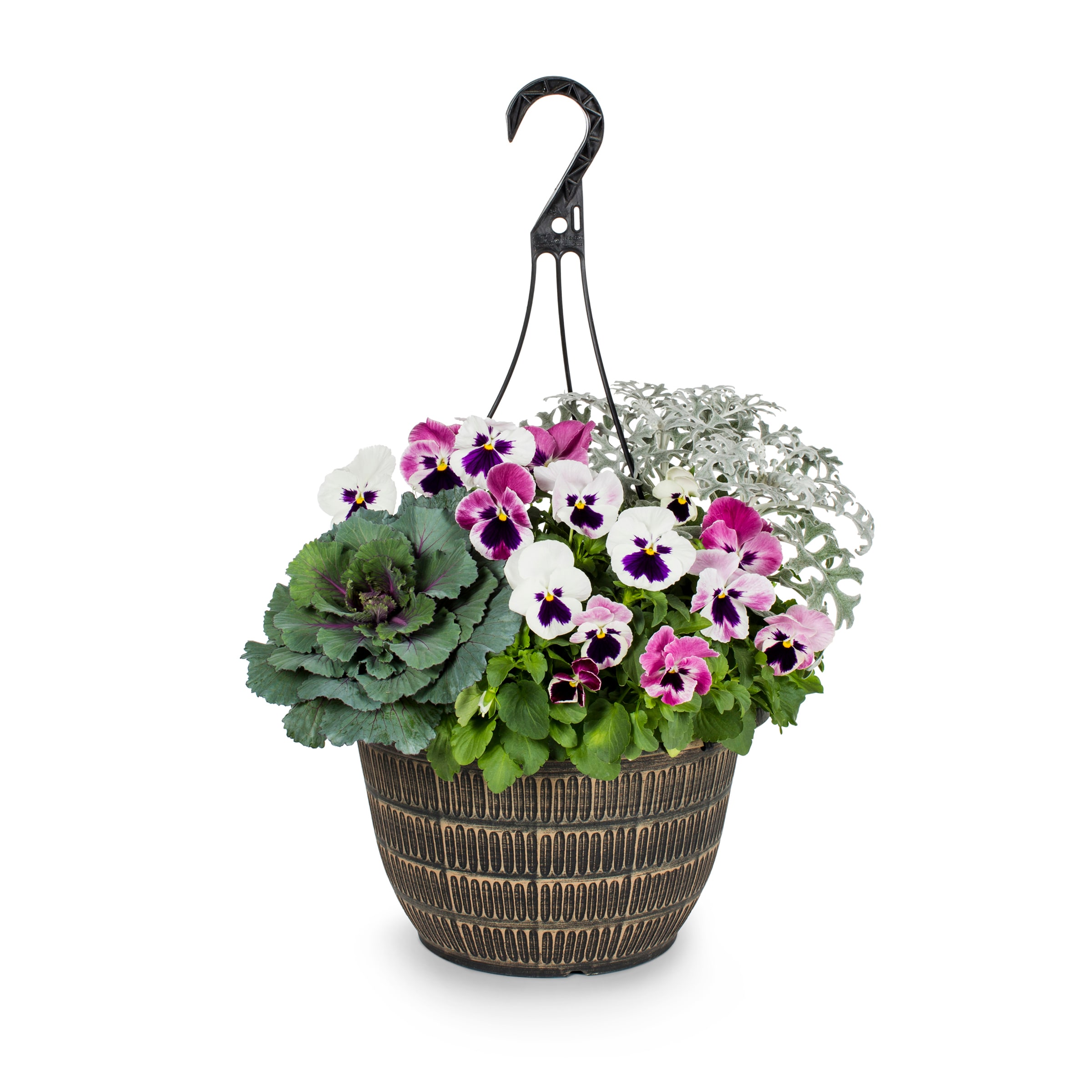 Lowe's Multicolor Mixed Annuals Combinations In 2-gallon Hanging Basket 