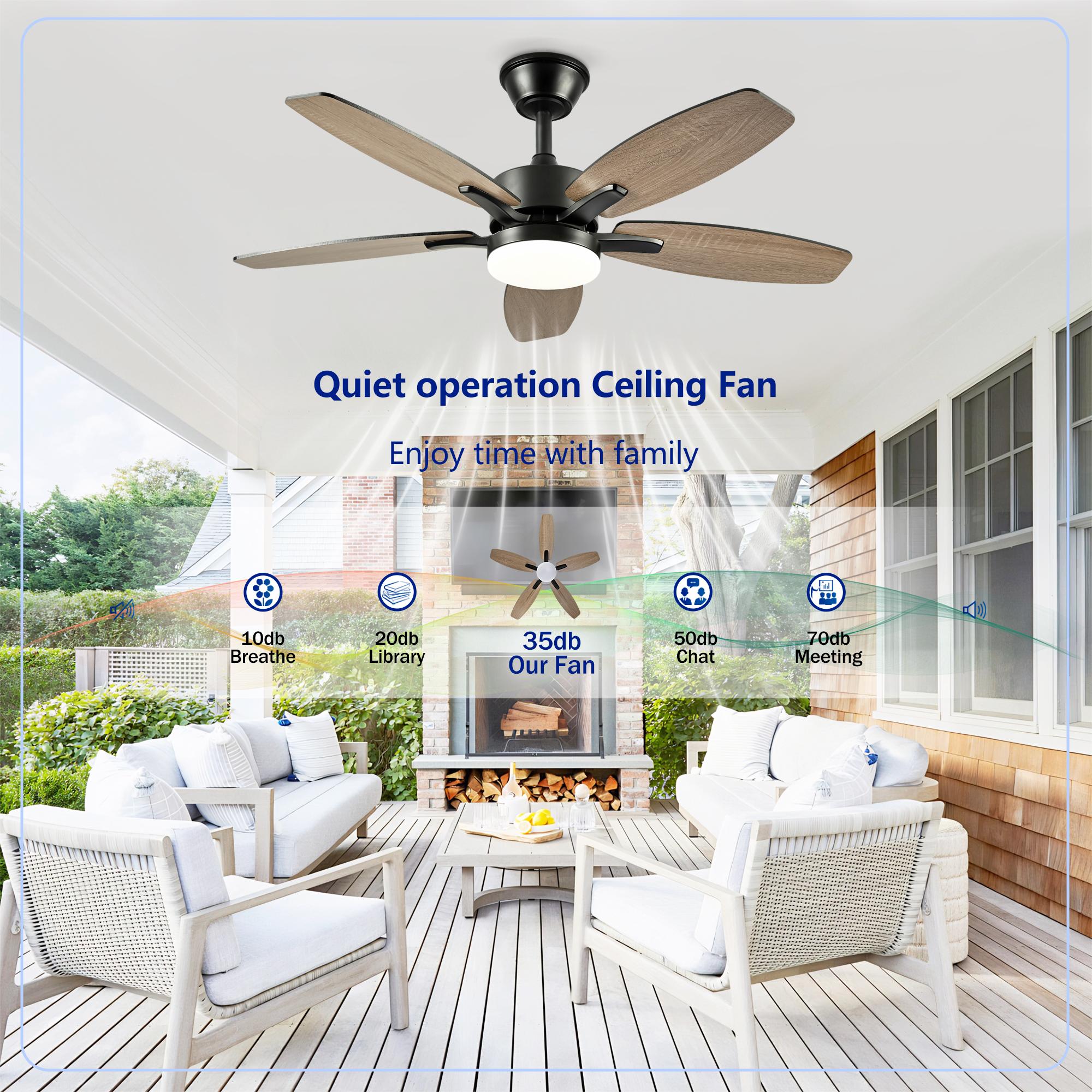 Bayfeve BF-462053-MP Ceiling-Fans - View #11