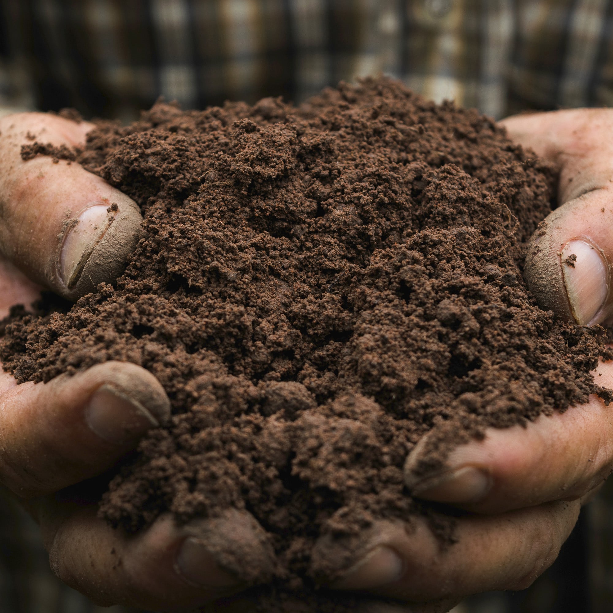 Michigan Peat 223357 Garden-Soil-Soil-Amendments - View #8