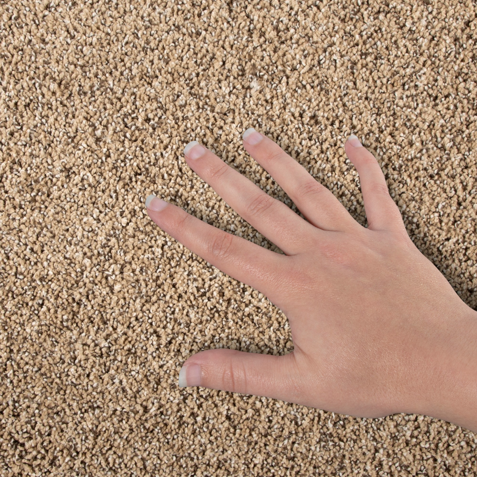 Style Selections SS048-L006-S0808 Carpet-Samples - View #4