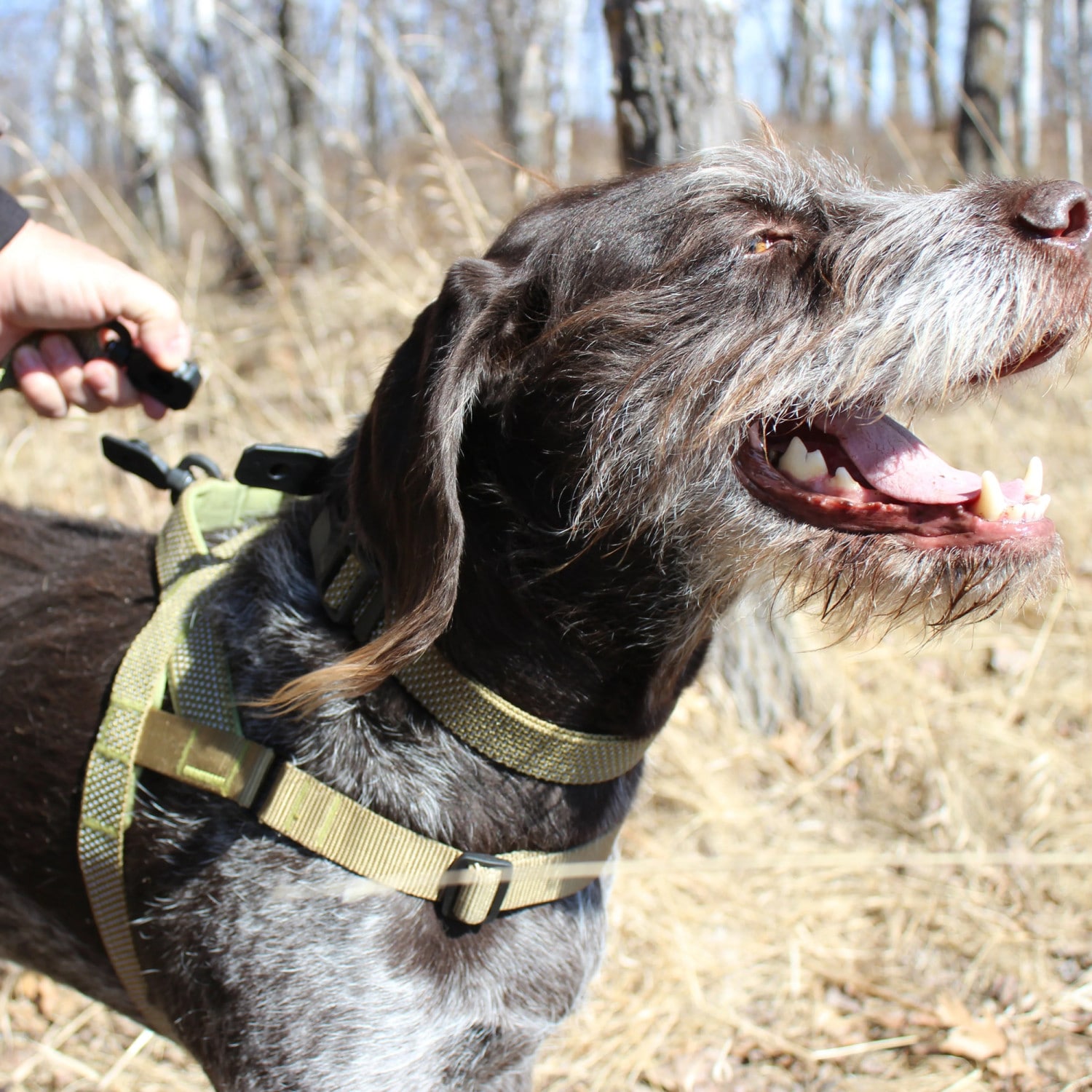 HOOZA G0080187828376 Dog-Collars-Harnesses - View #4