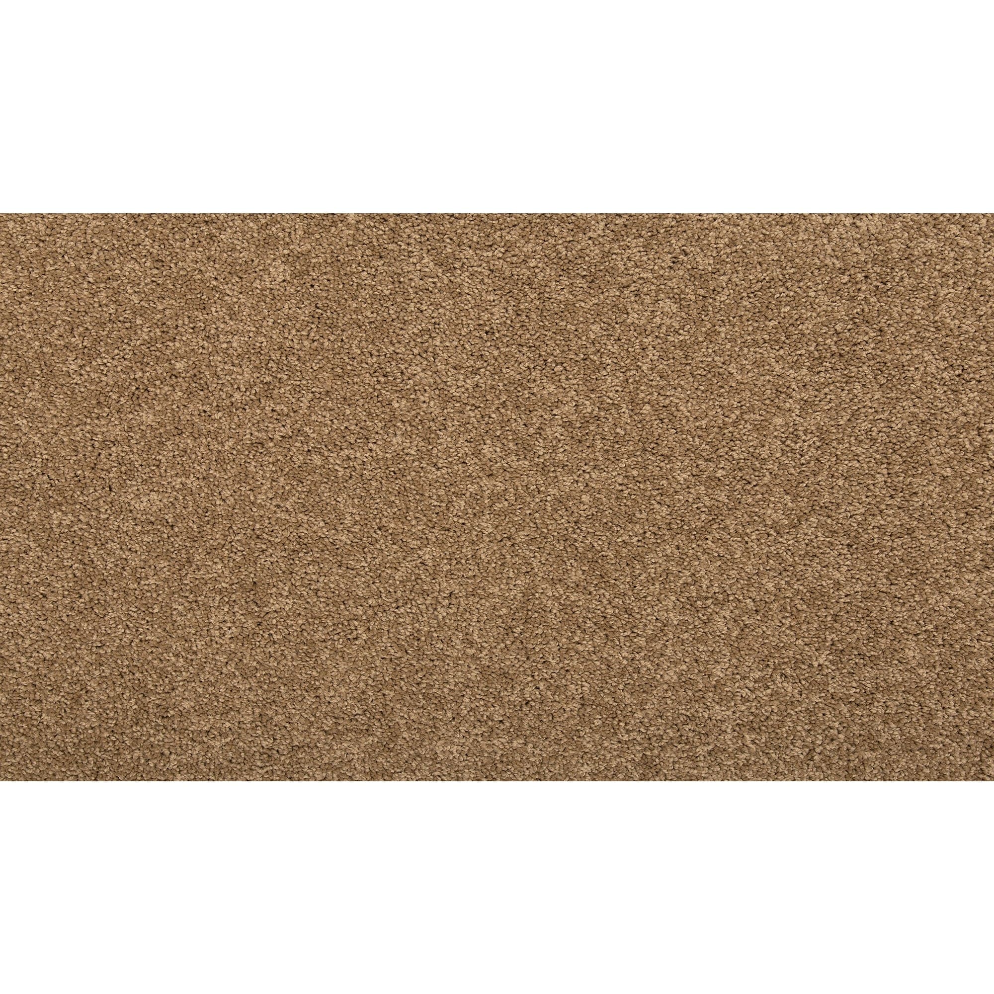 Style Selections SS016-12-L001 Express Install Carolina Coast II Dockside View Brown 35-oz sq yard Solution-dyed polyester Textured Indoor Carpet