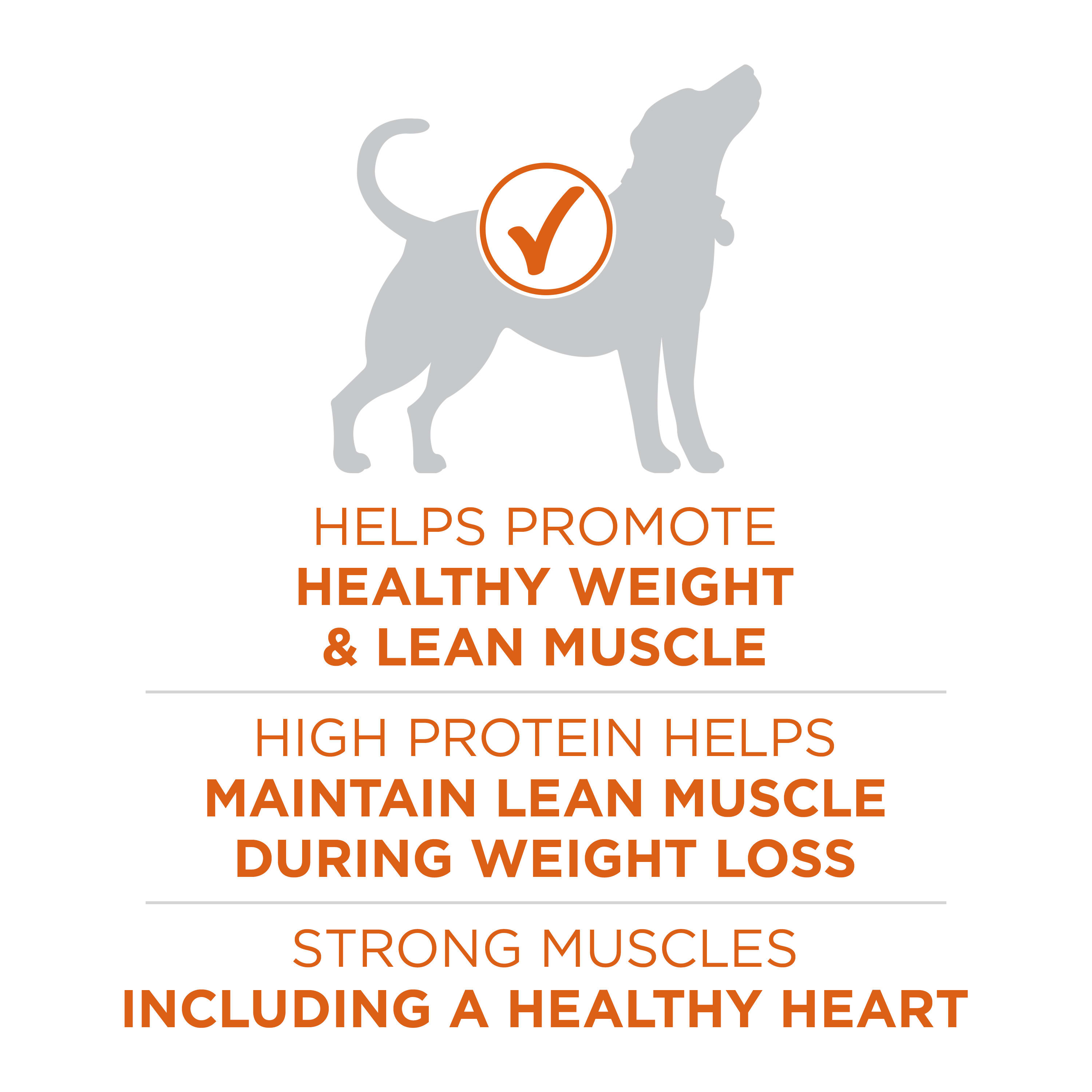 Nestle Purina 001780014920 Wet-Dog-Food - View #4