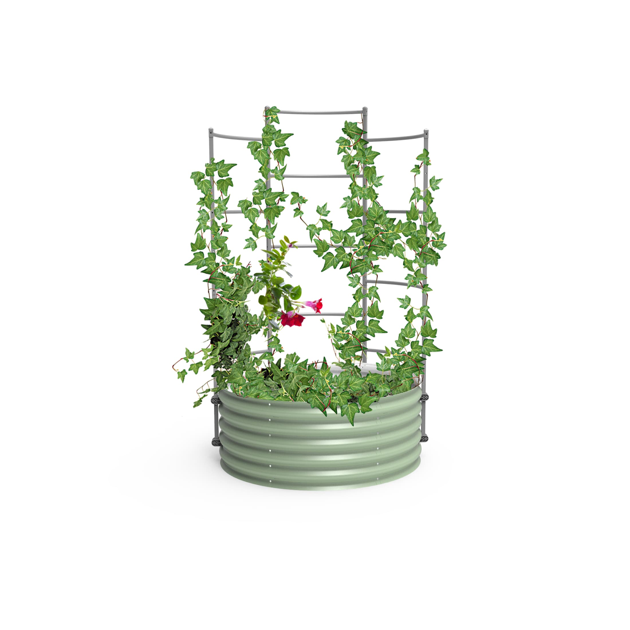 Vego Garden VWT 42-in W x 71-in H Powder Coated Steel Garden Trellis For Climbing Plants For Cucumbers For Roses For Tomatoes