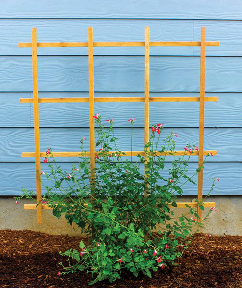 Garden Architecture 8622153 Garden-Trellis - View #4