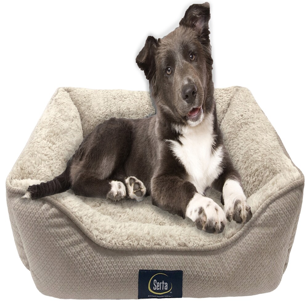 Serta cuddler hotsell dog bed xl