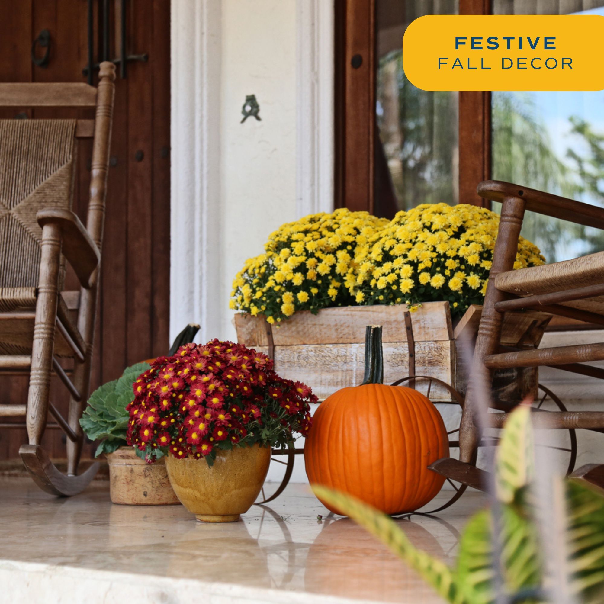 Costa Farms M-FM5-G-POT-02-LW annuals - View #4