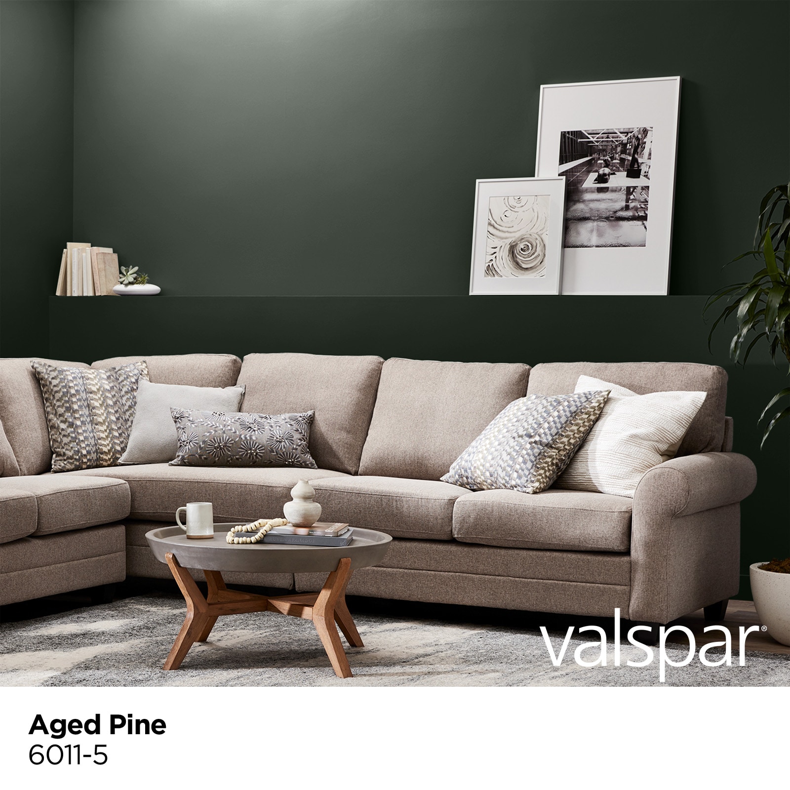 Valspar 6011-5-28328 Int-Ext-Paint - View #2