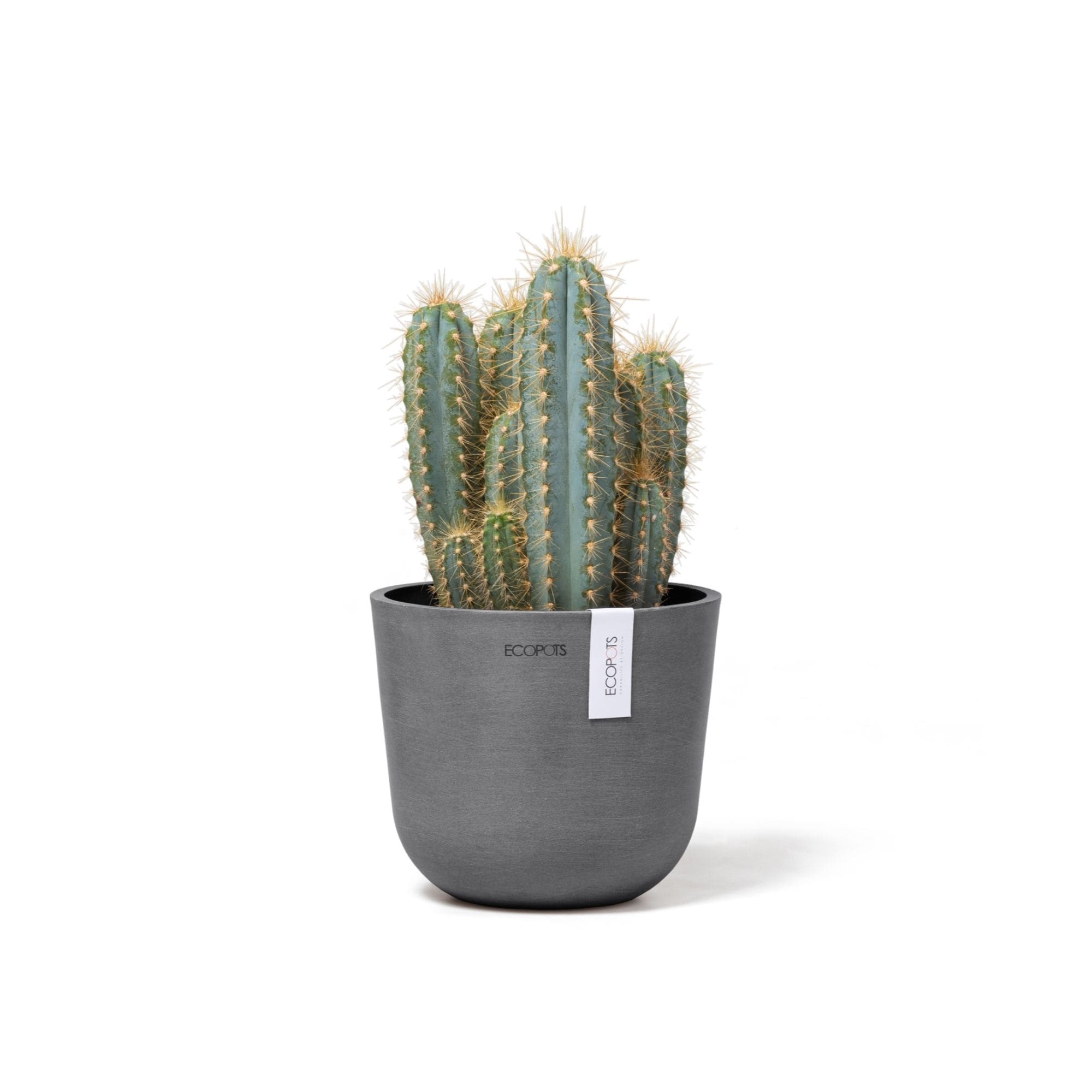 ECOPOTS 5413724325512 Planter-Window-Box - View #4