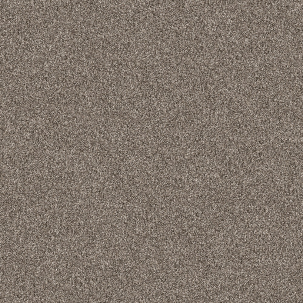 STAINMASTER 7L949-112-SAMP (Sample) 8-in x 8-in Pleasant Surprise I Soft Sense Brown 43.9-oz sq yard High-performance polyester Textured Indoor Carpet