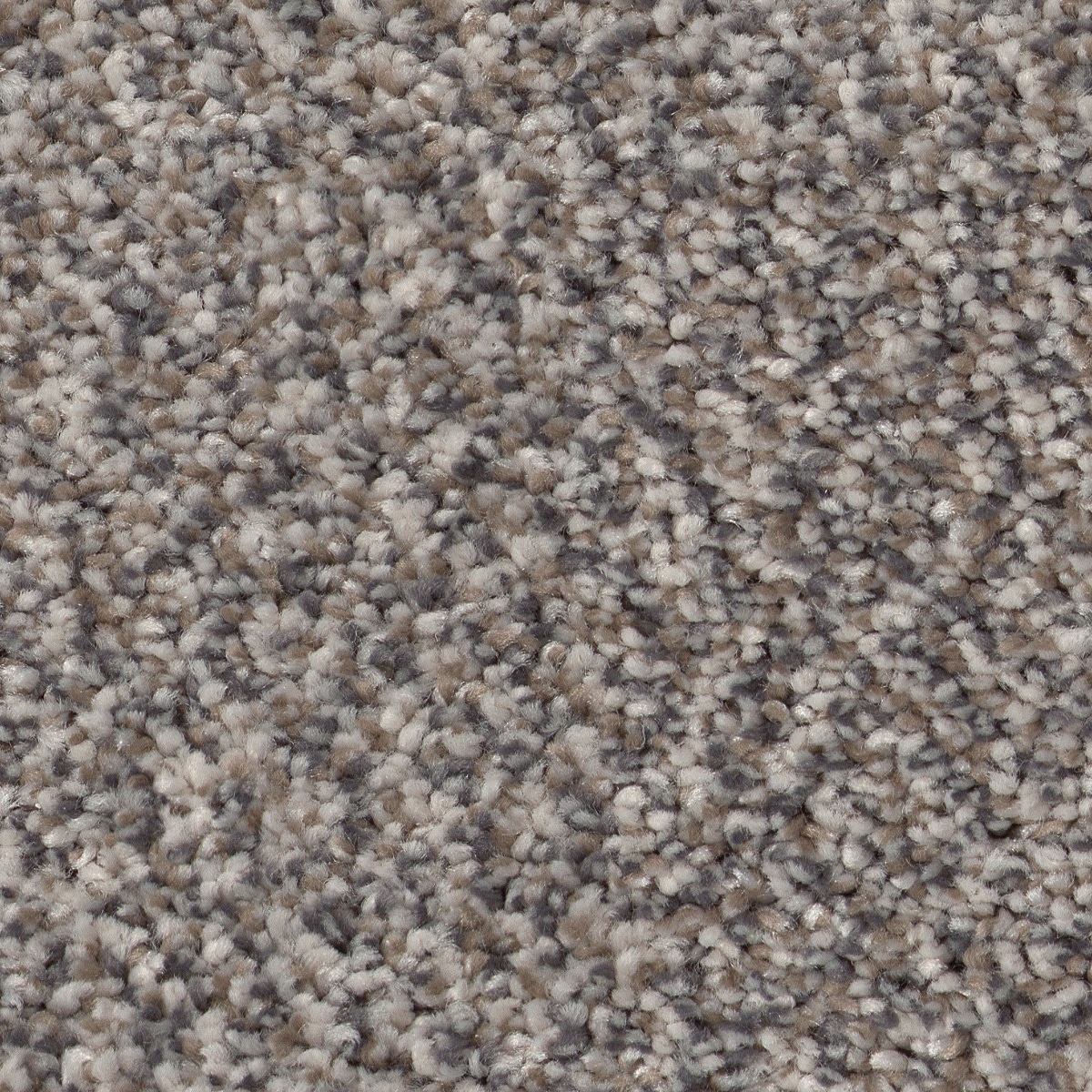 Style Selections 7L849 - 508 - SAMP (Sample) Hideaway I Stainless Gray 31.2-oz sq yard Polyester Textured Indoor Carpet