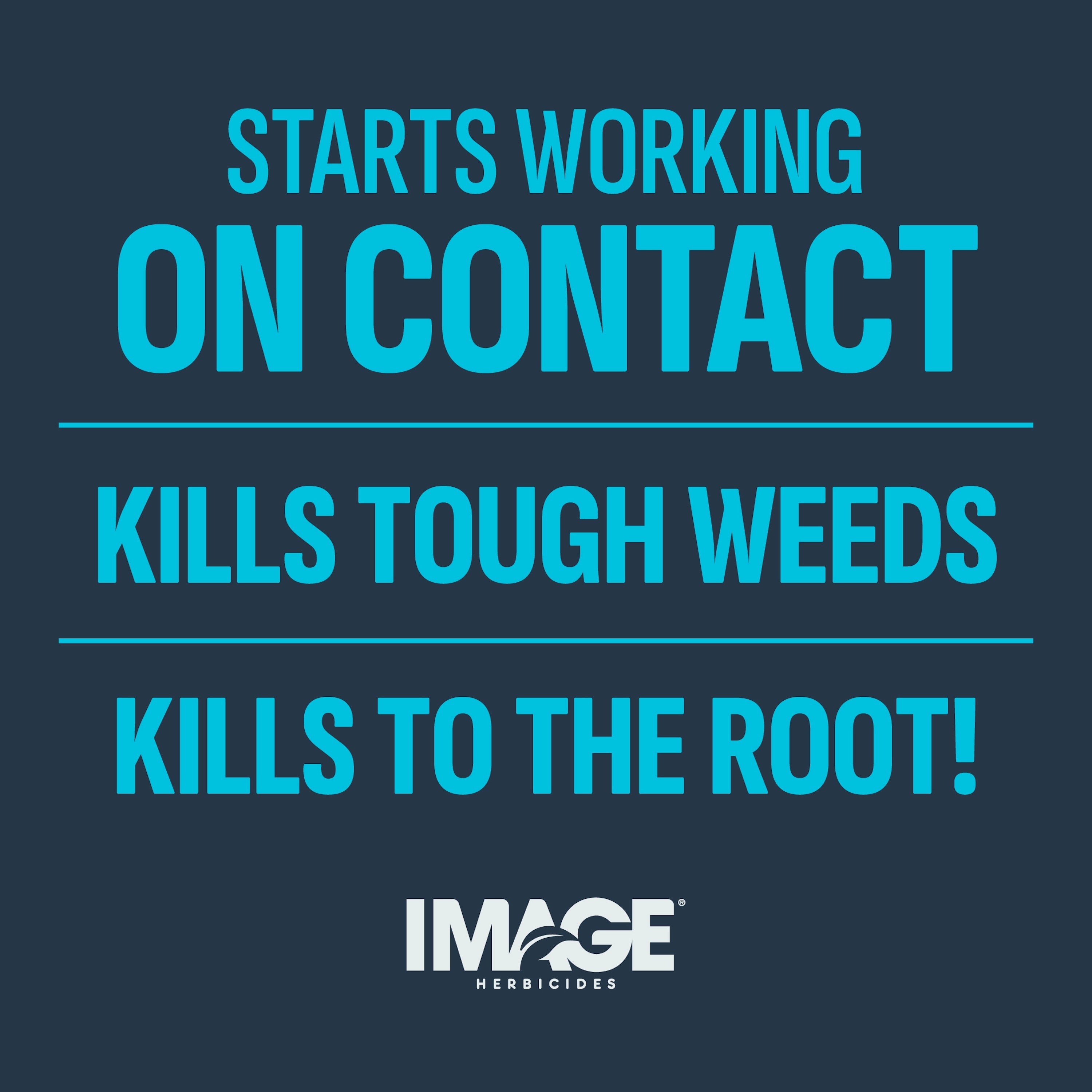 IMAGE 1357600691 Weed-Killers - View #6