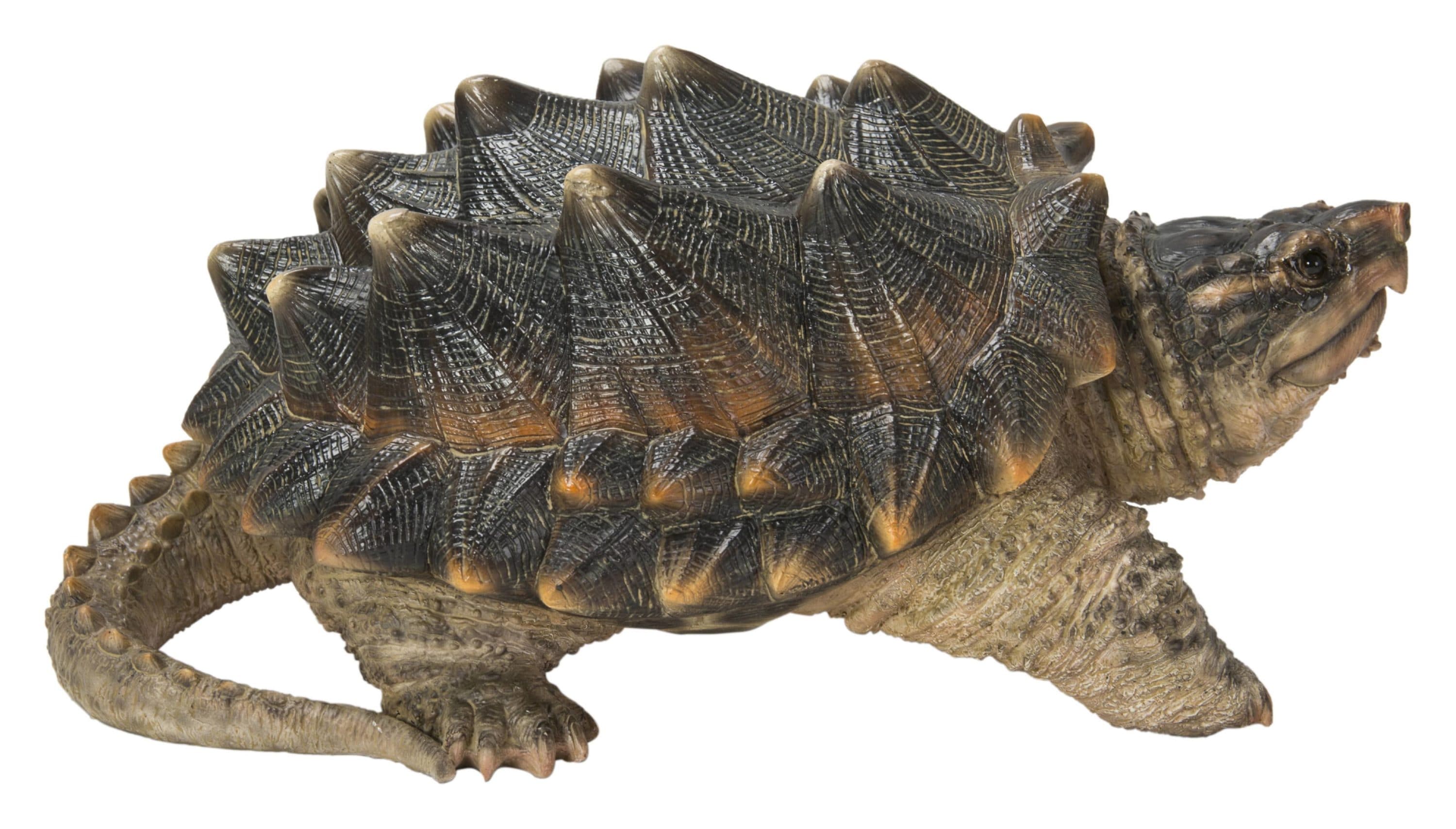 Hi-Line Gift 87658 4.84-Inches H x 6.69-Inches W Multiple colors/finishes Turtle Garden Statue