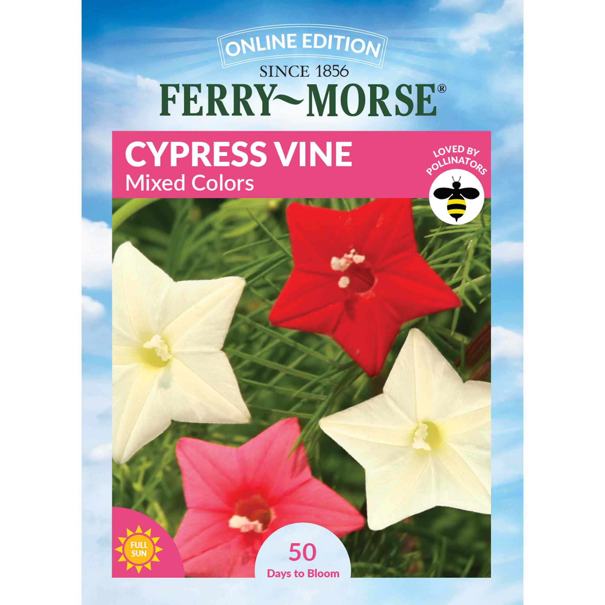 Ferry-Morse LC25.4134 Cypress Vine Seeds 900 Milligram(s)