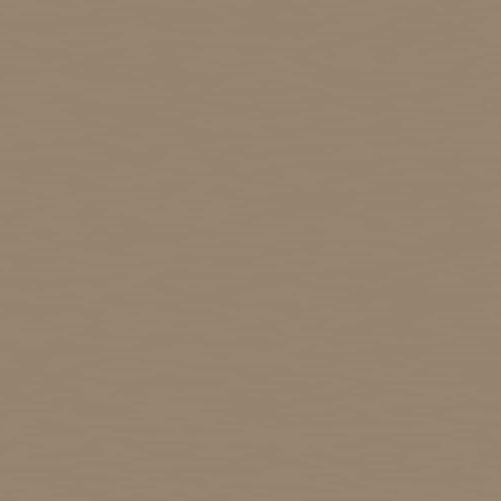 HGTV HOME by Sherwin-Williams HGSW2492 Tiki Hut HGSW2492 Tintable Paint sample ( Half-pint )