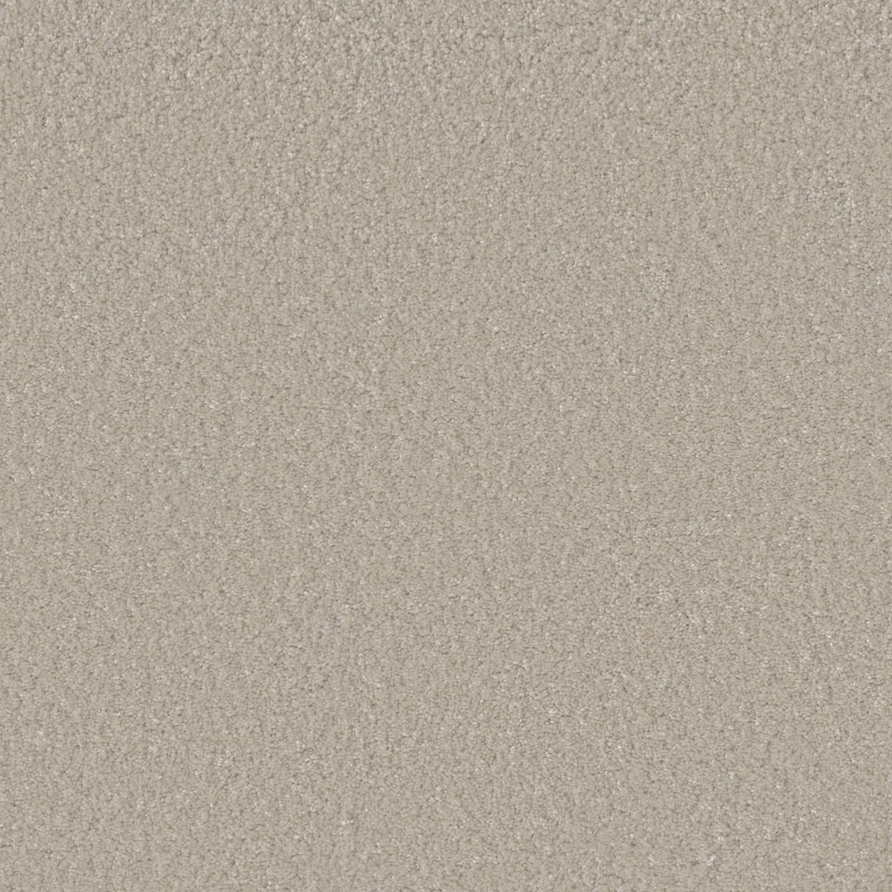 STAINMASTER L5014-1203-0808 (Sample) Joyful Sound III Warble Off-white 65-oz sq yard Solution-dyed polyester Textured Indoor Carpet