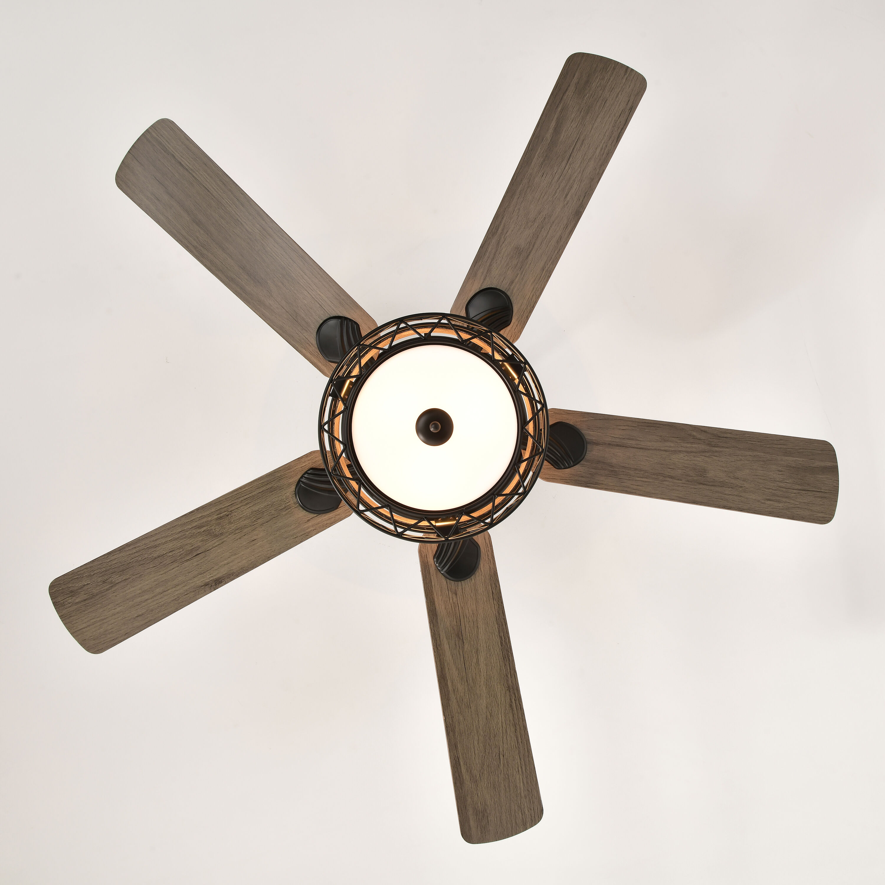 Oaks Decor BDHEMP176038 Ceiling-Fans - View #8