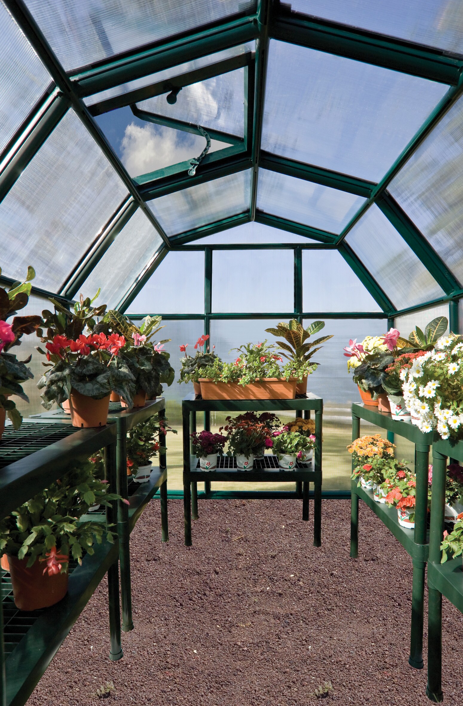 Canopia by Palram 702427 Greenhouse-Vent-Openers - View #7