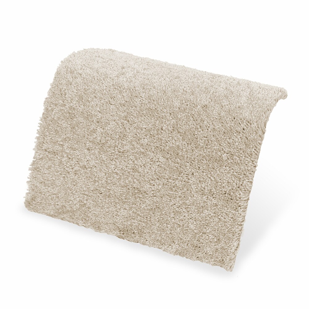 STAINMASTER LB034-L005- 0808 Carpet-Samples - View #4