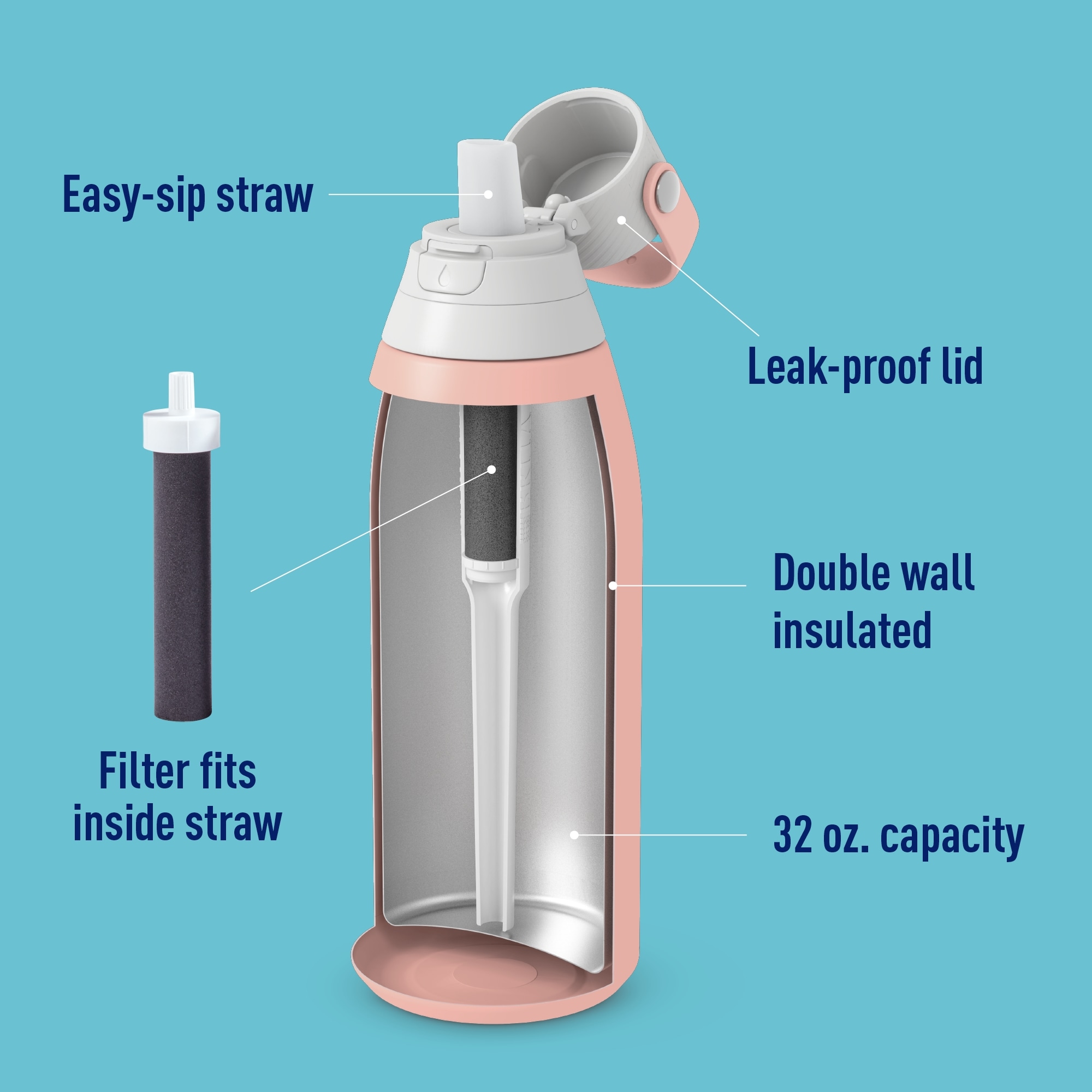 Brita 20 oz Rose Premium Stainless Steel Leak Proof Filtered Insulated Water  Bottle with Straw 