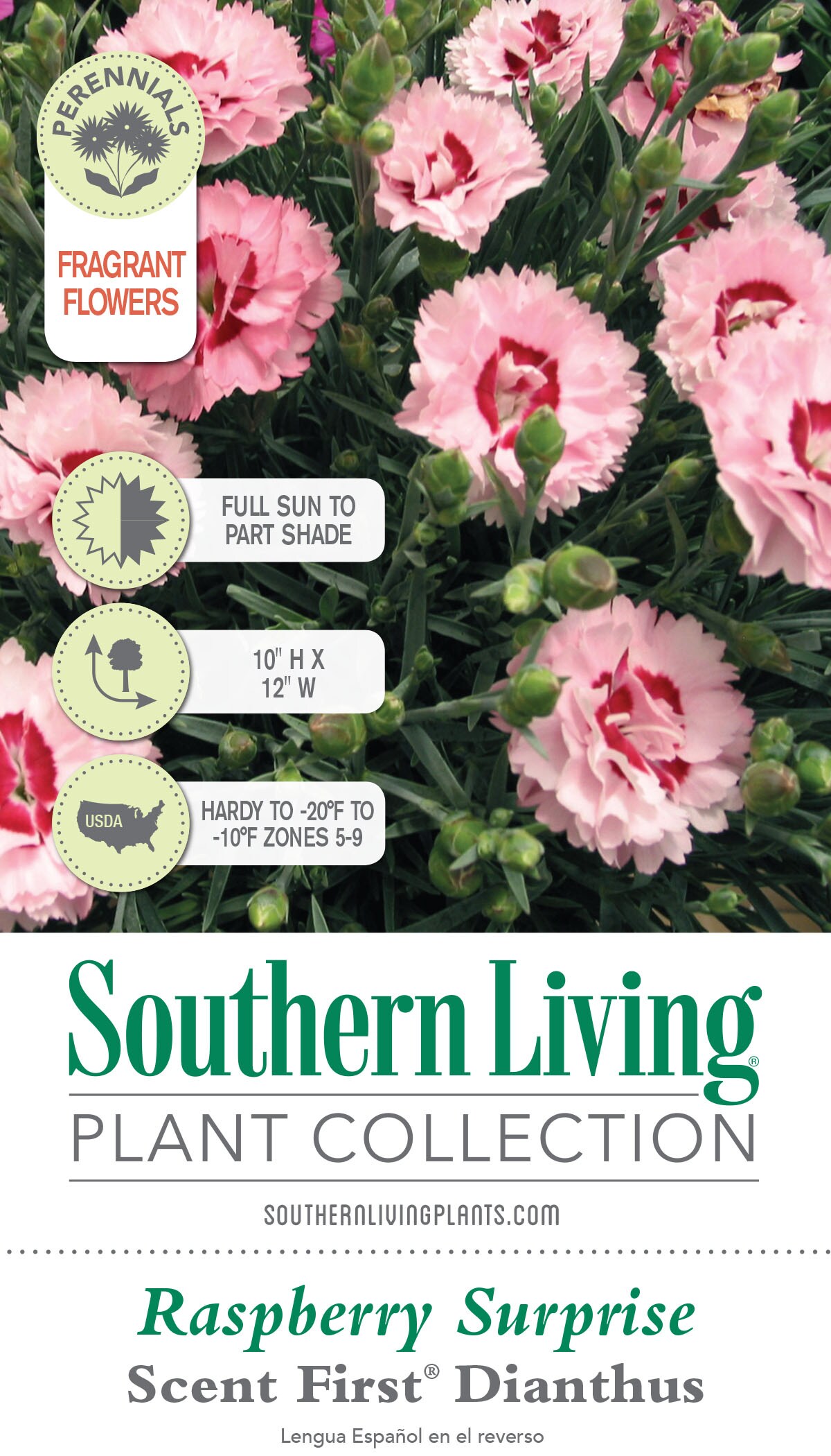 Southern Living 9723Q-1 perennials - View #3