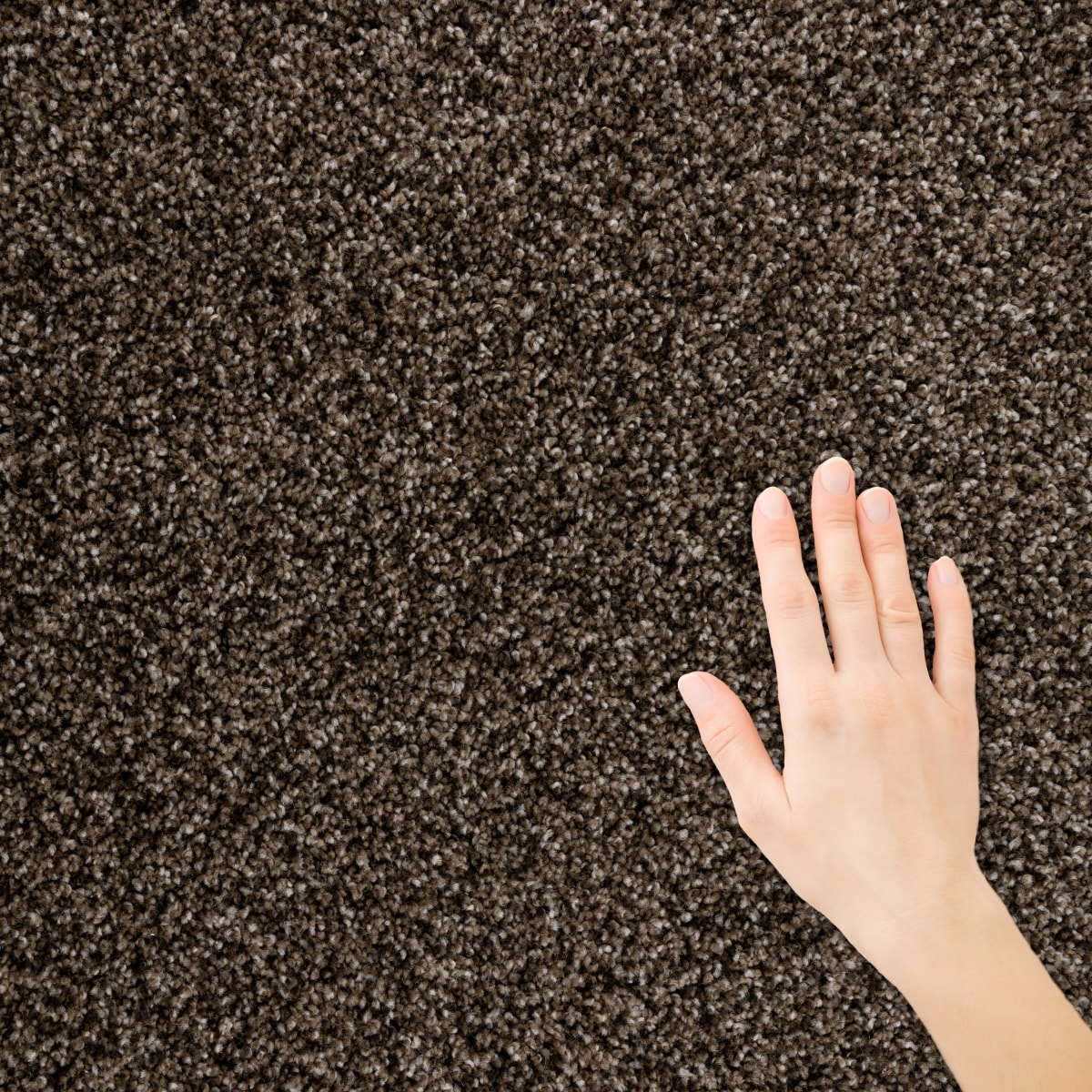 STAINMASTER S9945-20011-1200-MO Carpet-Panel - View #4