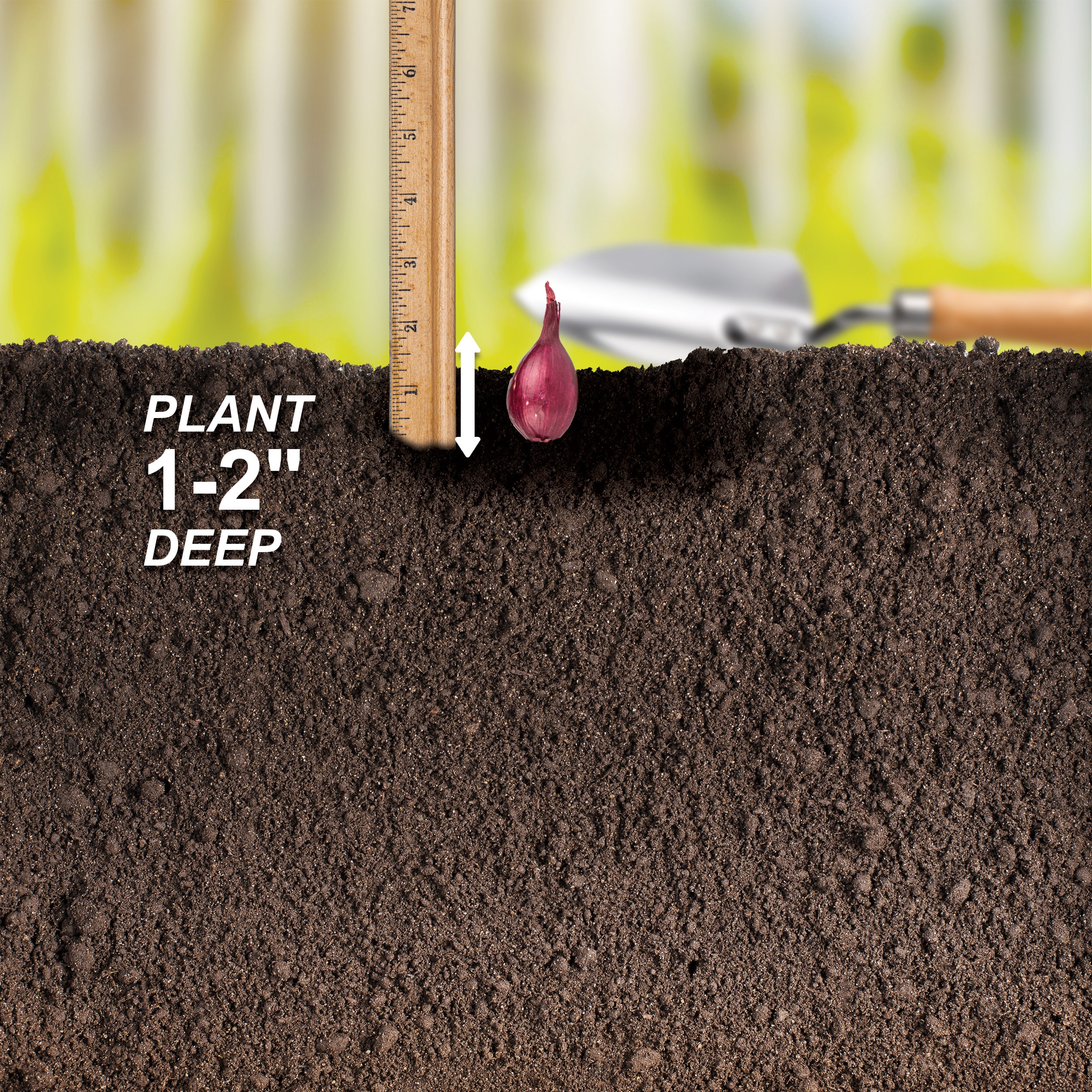 Garden State Bulb ECS-30-02-02 Vegetable-Herb-Seeds - View #4