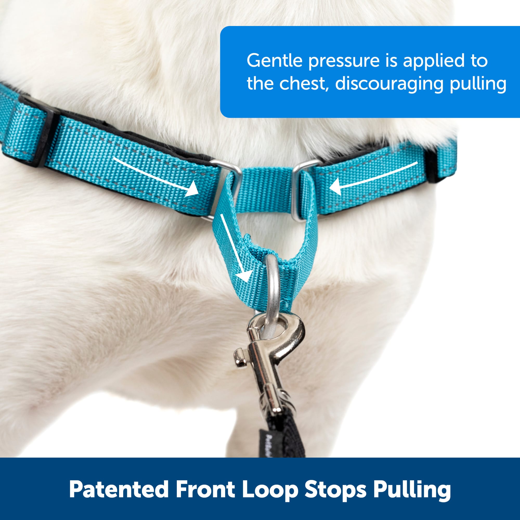 PetSafe EWH-D-HC-M-OCN Dog-Collars-Harnesses - View #2