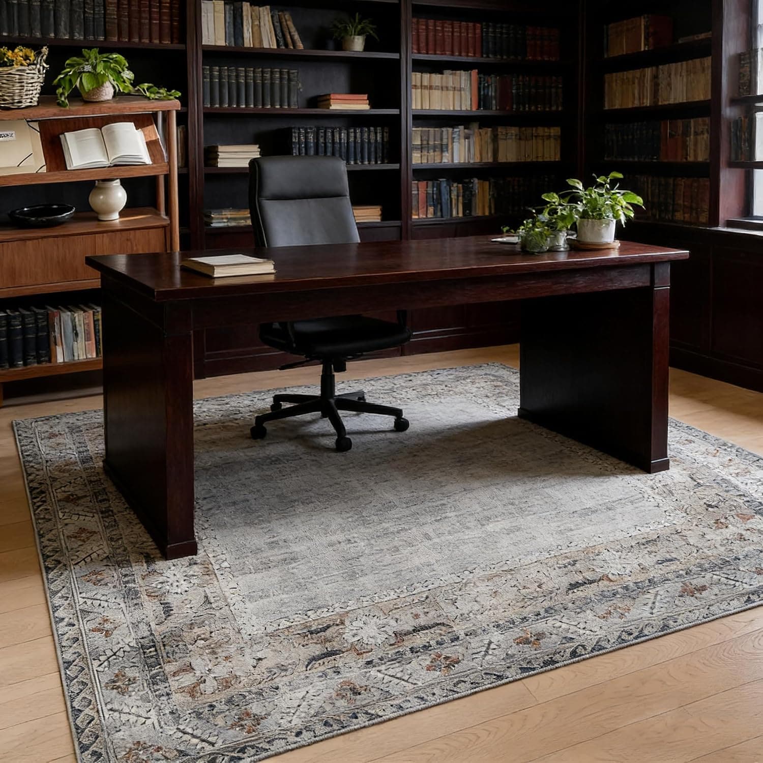 GAOMON CES-WF3A4T-HIQE433BB rugs - View #8