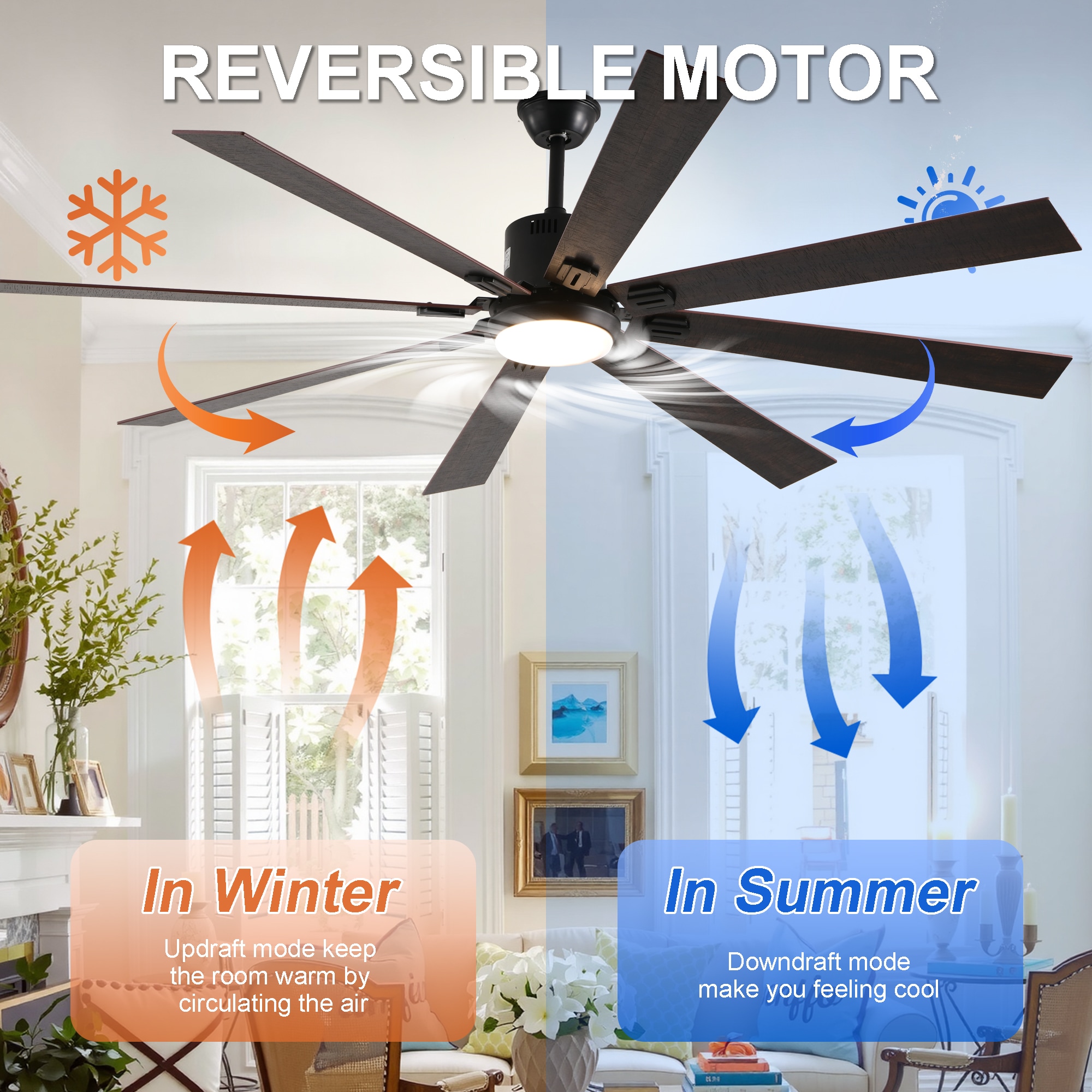 Sunrinx MG9-CF-19 Ceiling-Fans - View #6