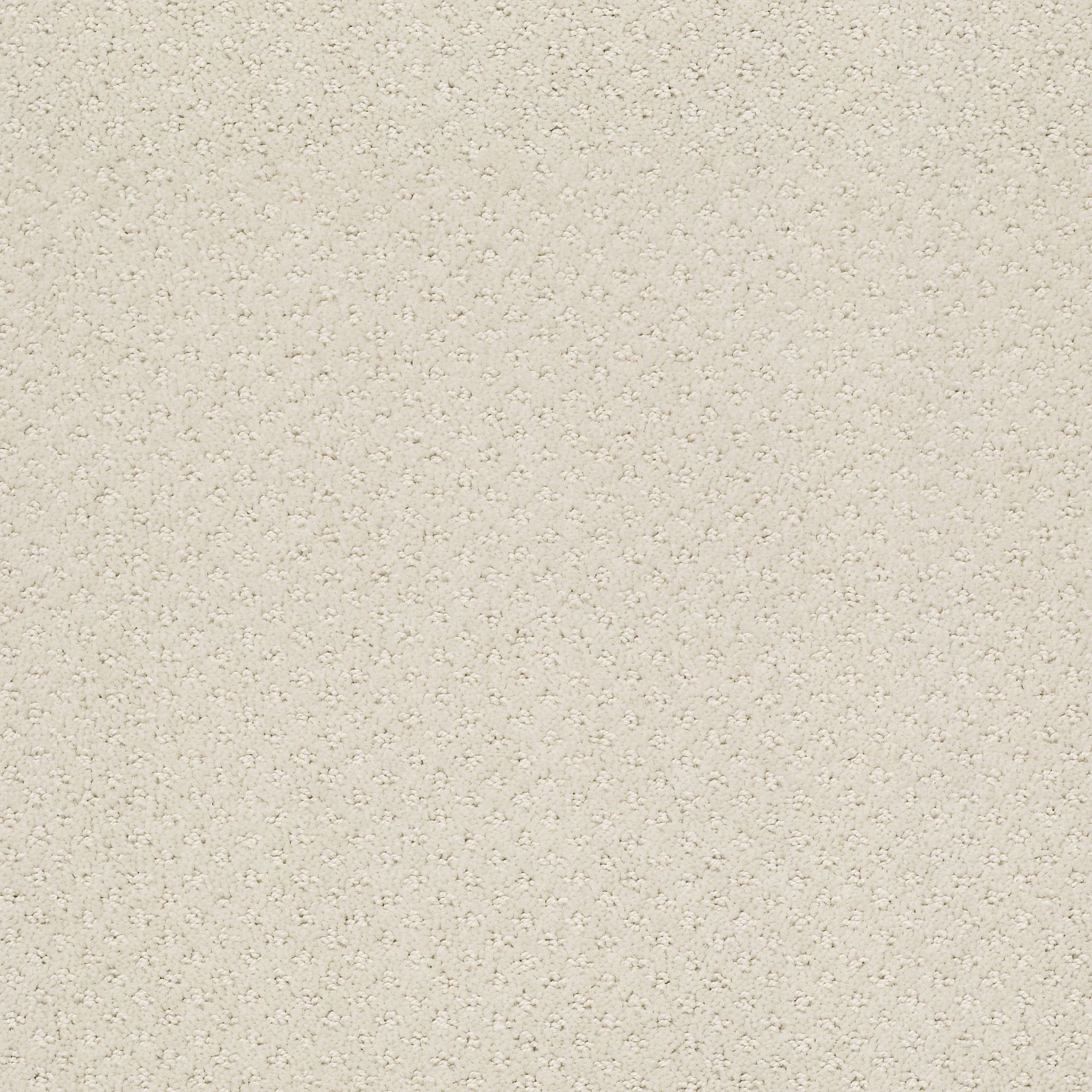 STAINMASTER 7L905 - 574 - SAMP (Sample) Crieve Hall Rock Crystal Gray 25-oz sq yard Nylon Pattern Indoor Carpet