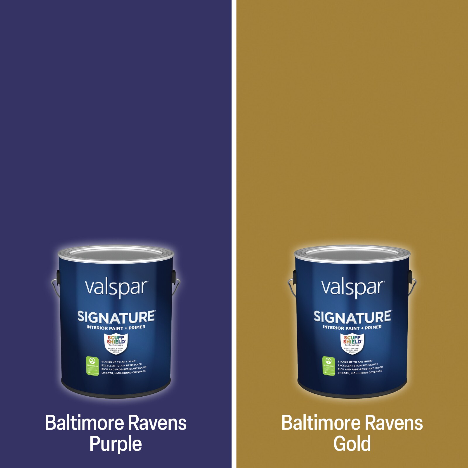 Shop Valspar Washington Football Team Paint Project Kit at