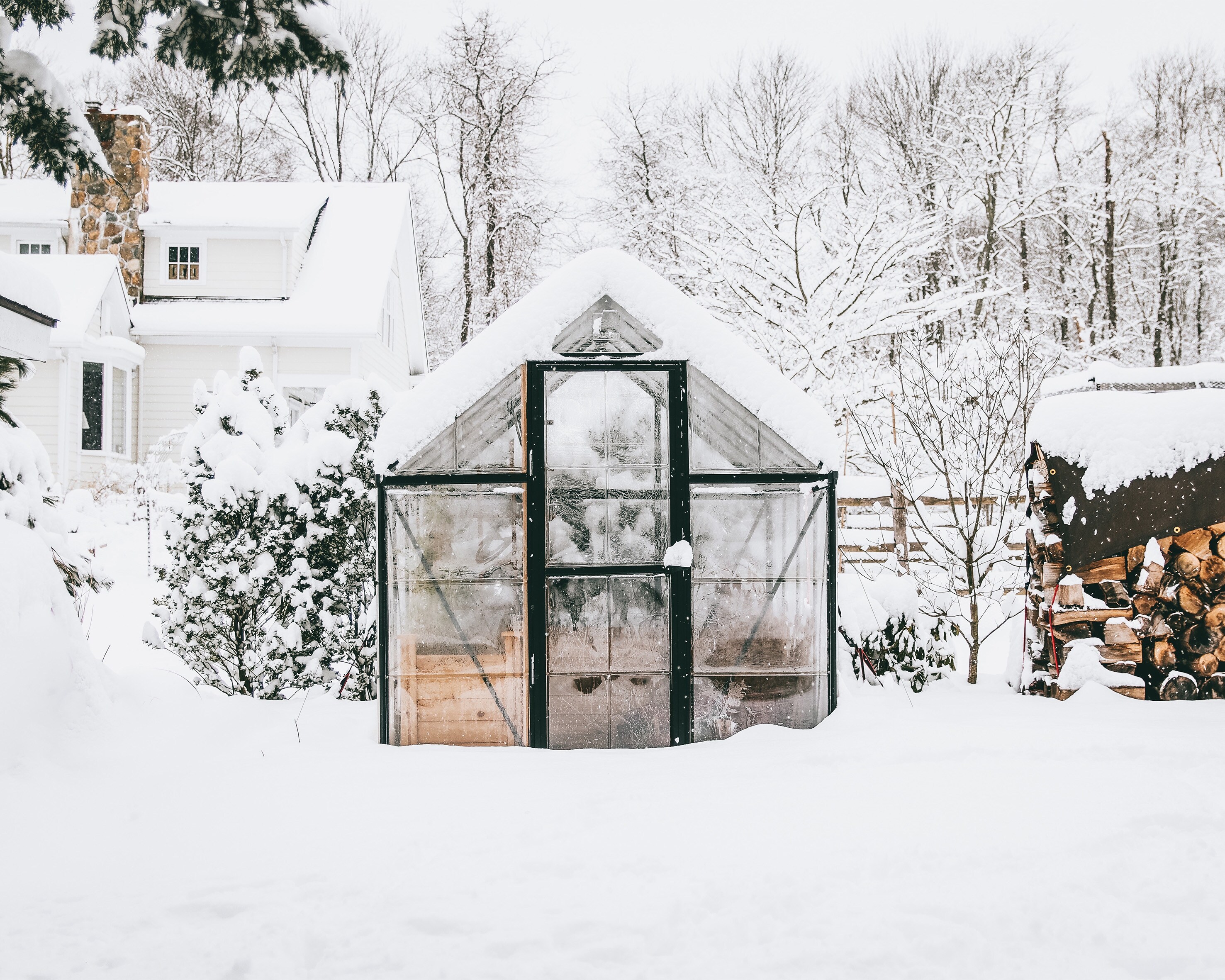 Canopia by Palram 701550 greenhouses - View #7