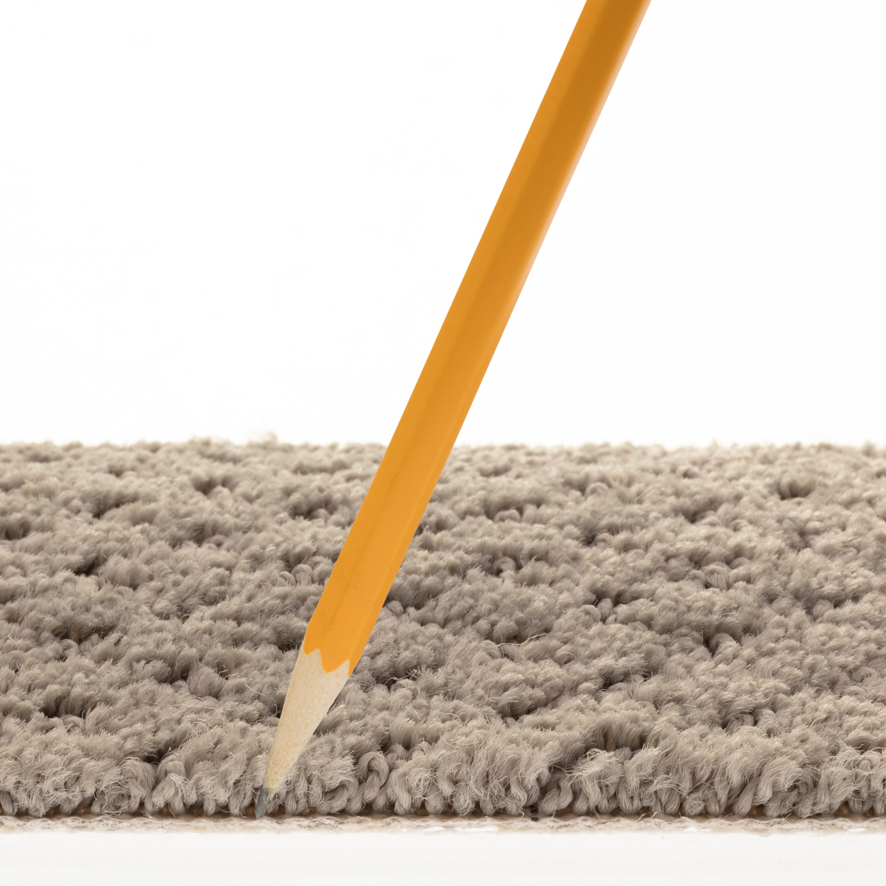 STAINMASTER PetProtect 7L899 - 545 - SAMP Carpet-Samples - View #7