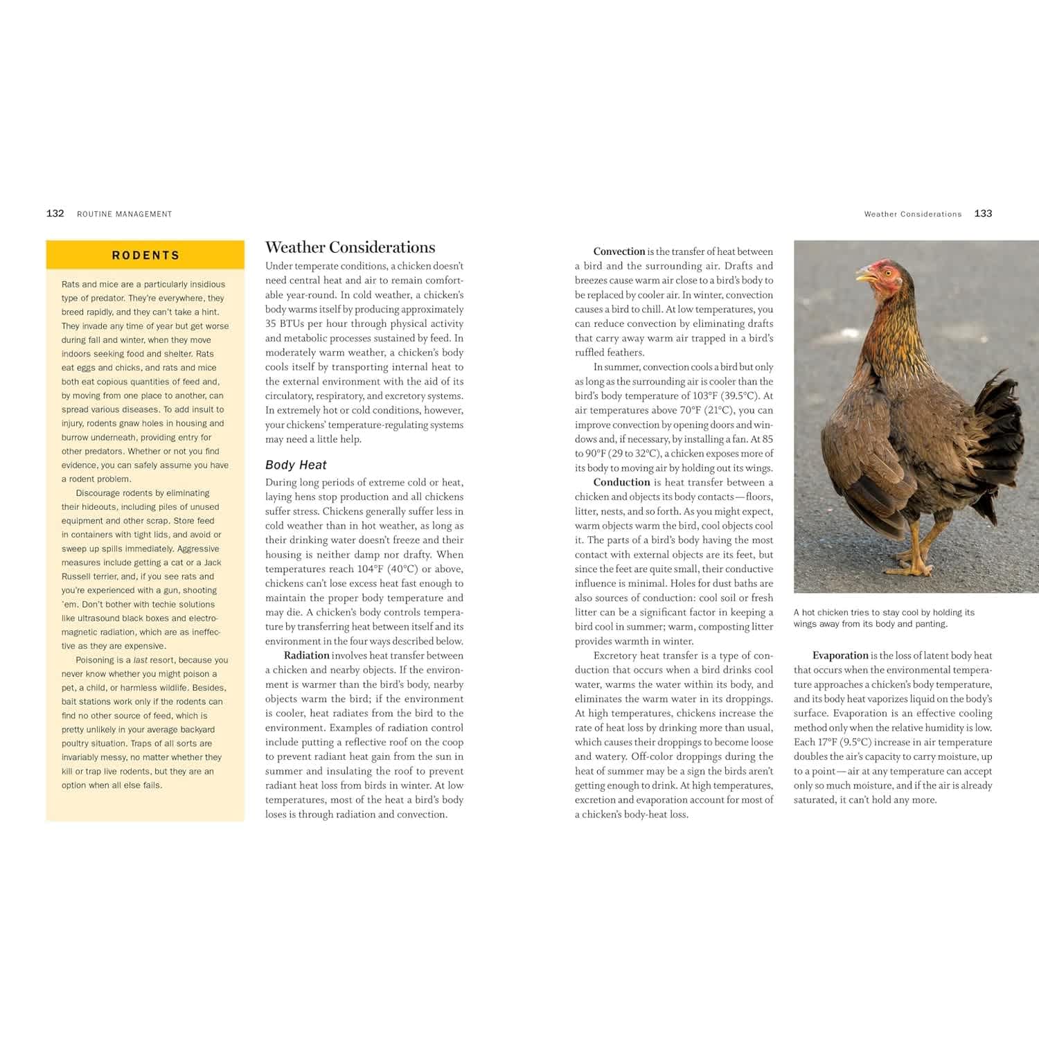 Lehman's 622930 books - View #5