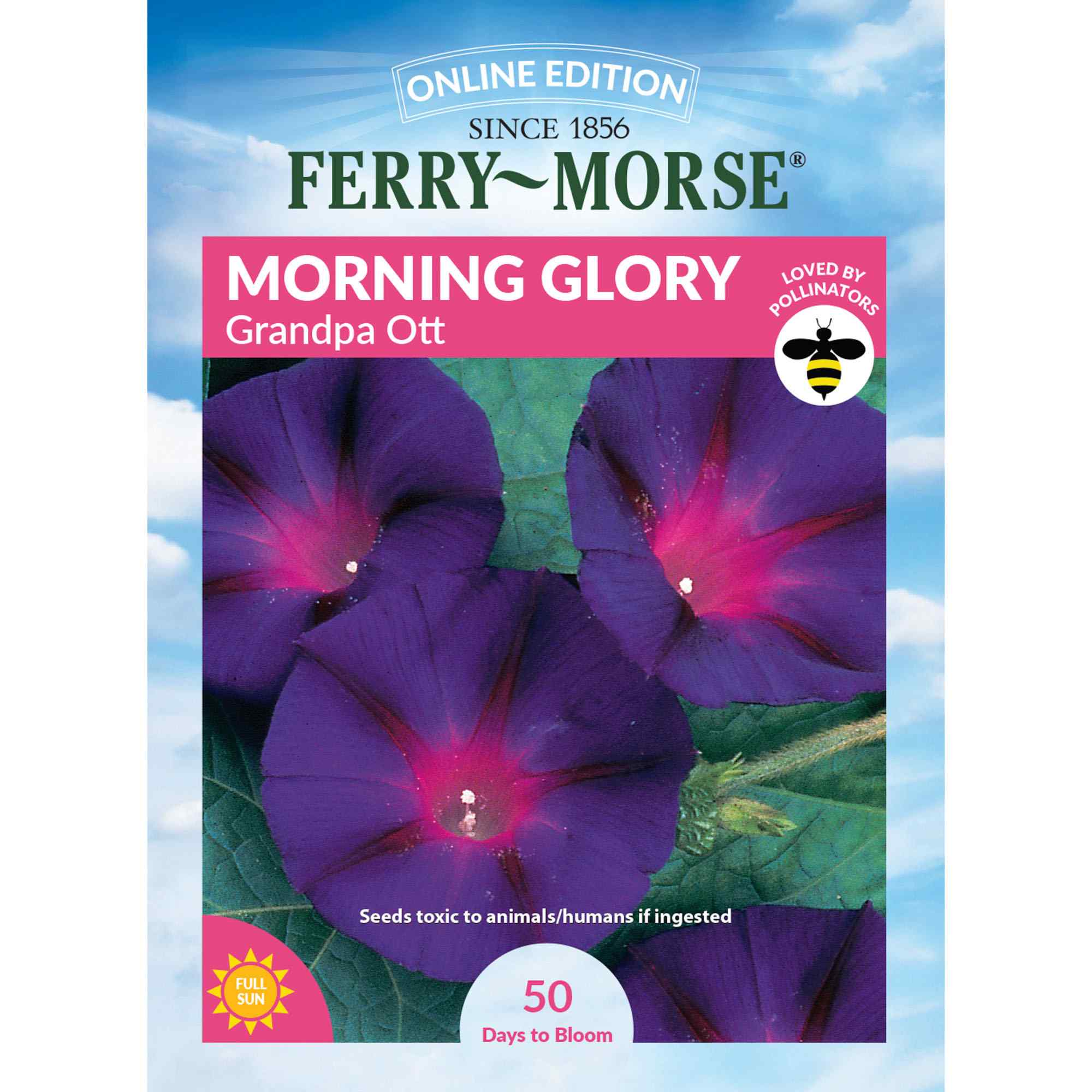 Ferry-Morse LC25.6080 Morning Glory Seeds 1.4 Gram(s)