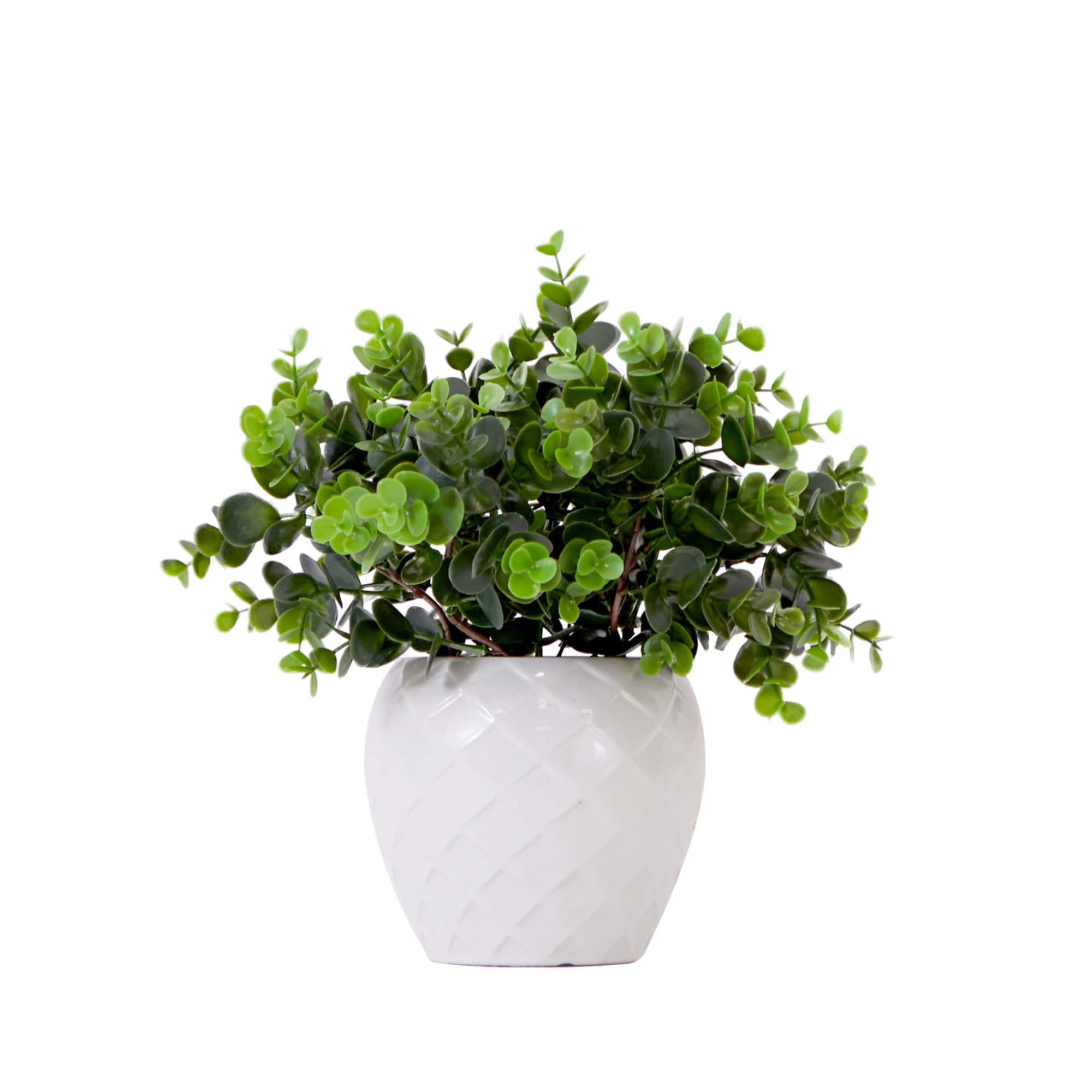 Nearly Natural P1915 11-Inches Green Indoor Desktop Boxwood Artificial plant