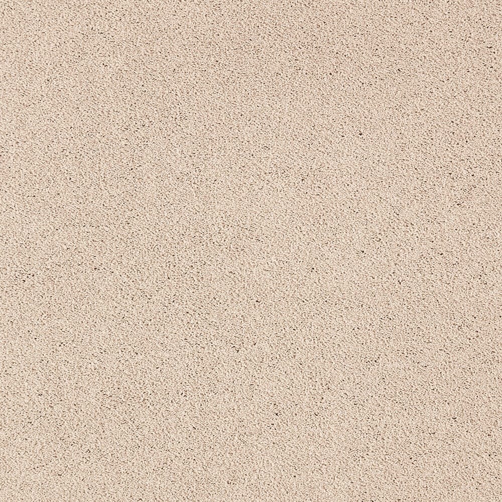 STAINMASTER PetProtect STP54-L005-0808 (Sample) Beau Dacious Antique Ivory Brown 48-oz sq yard Triexta Textured Indoor Carpet