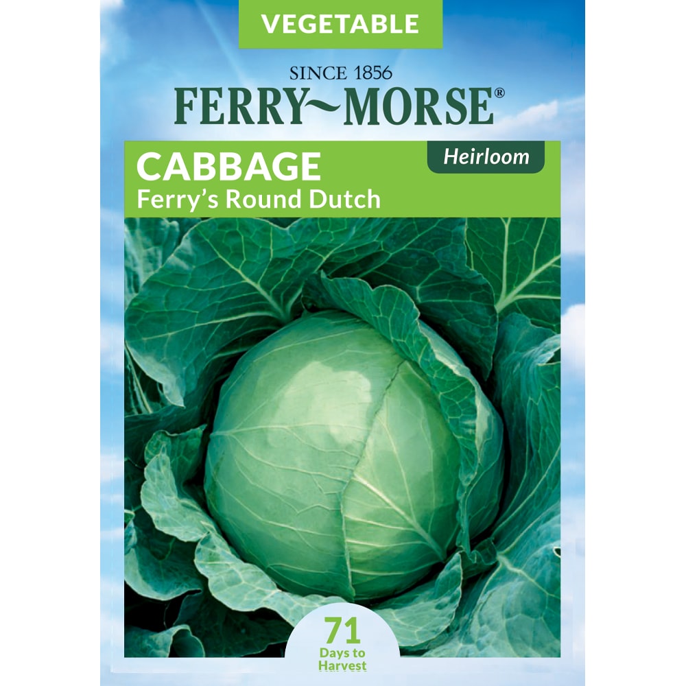 Ferry-Morse 914648.219.641186 Cabbage Dutch Ferrys Round Vegetable Seeds 0.6 Gram(s)