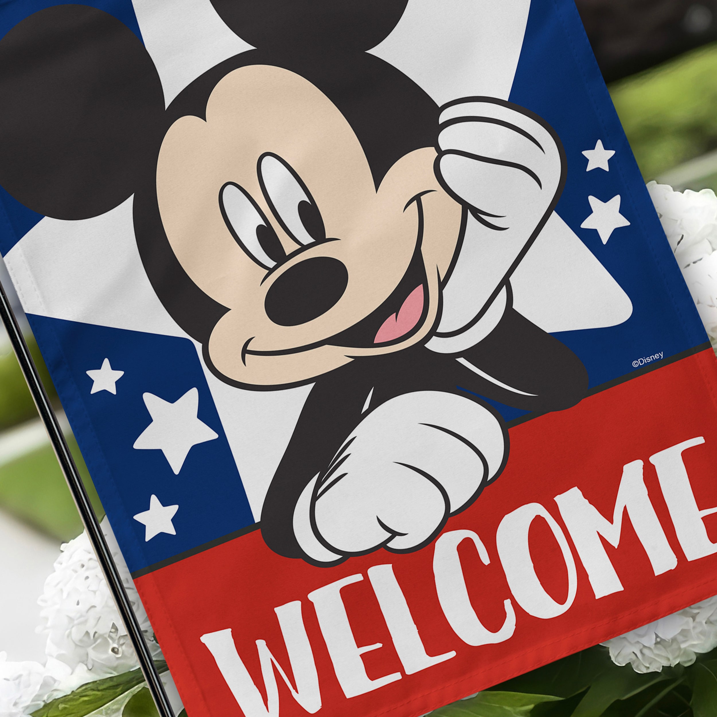 Disney 10-1313-92-01 Decorative-Banner-Flags - View #6