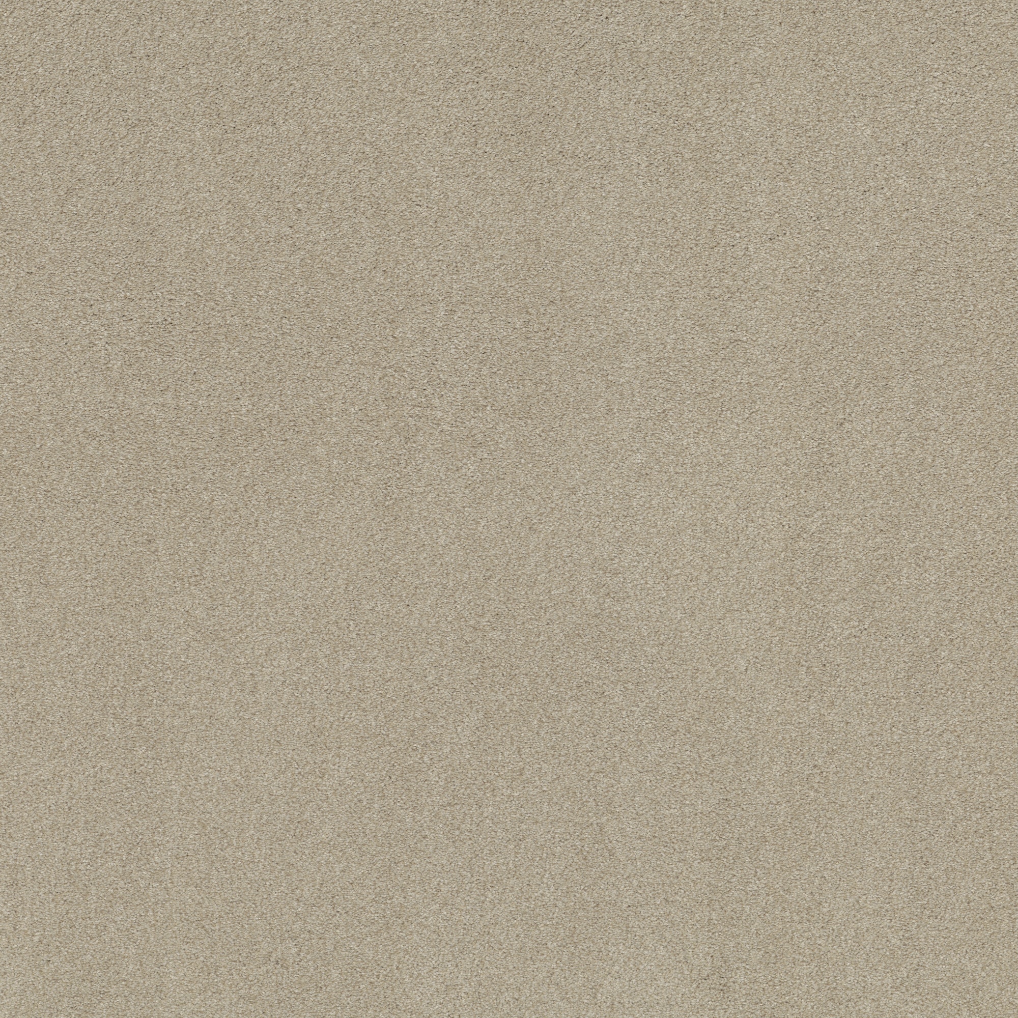 STAINMASTER PetProtect 7L929-137-SAMP (Sample) with LeakDefense Splash Dance II Straw Flower Tan 73.1-oz sq yard Polyester Textured Indoor Carpet