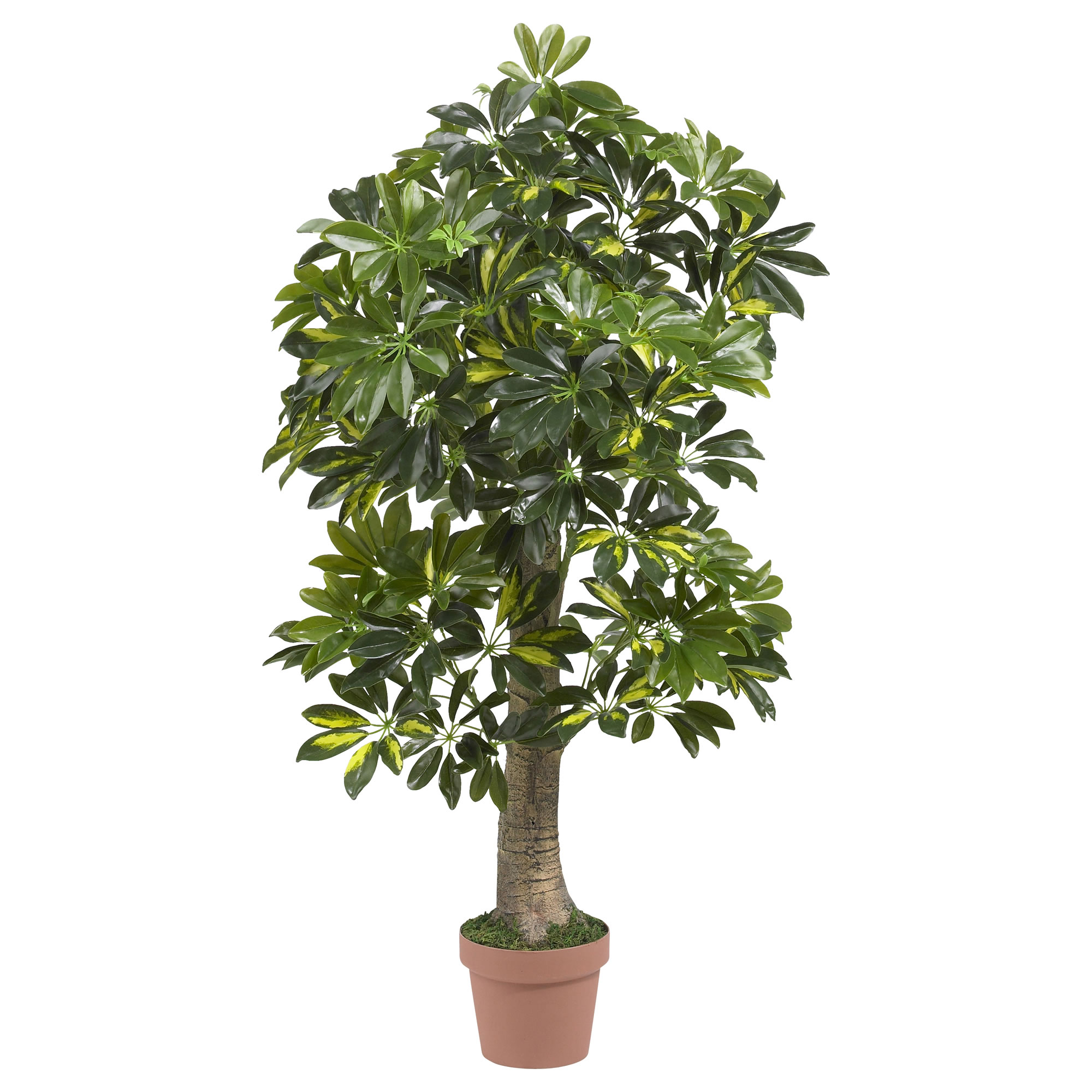 Nearly Natural 5305 48-Inches Green Indoor Floor Silk Artificial tree